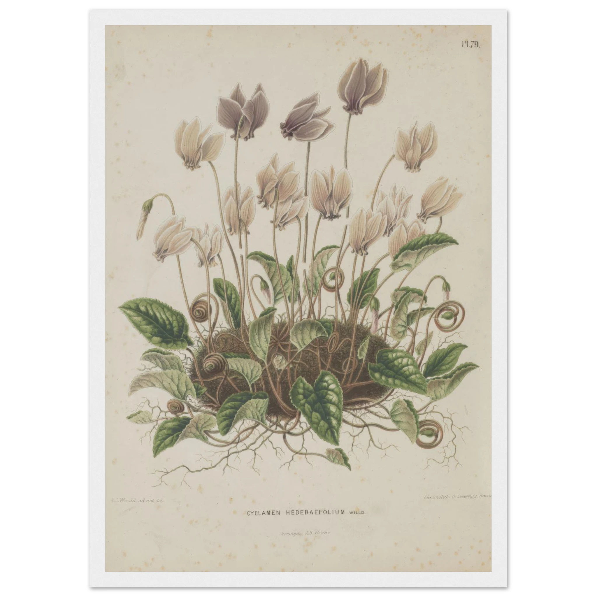 947af698-941b-4cd2-a3db-a8dbedb223bf