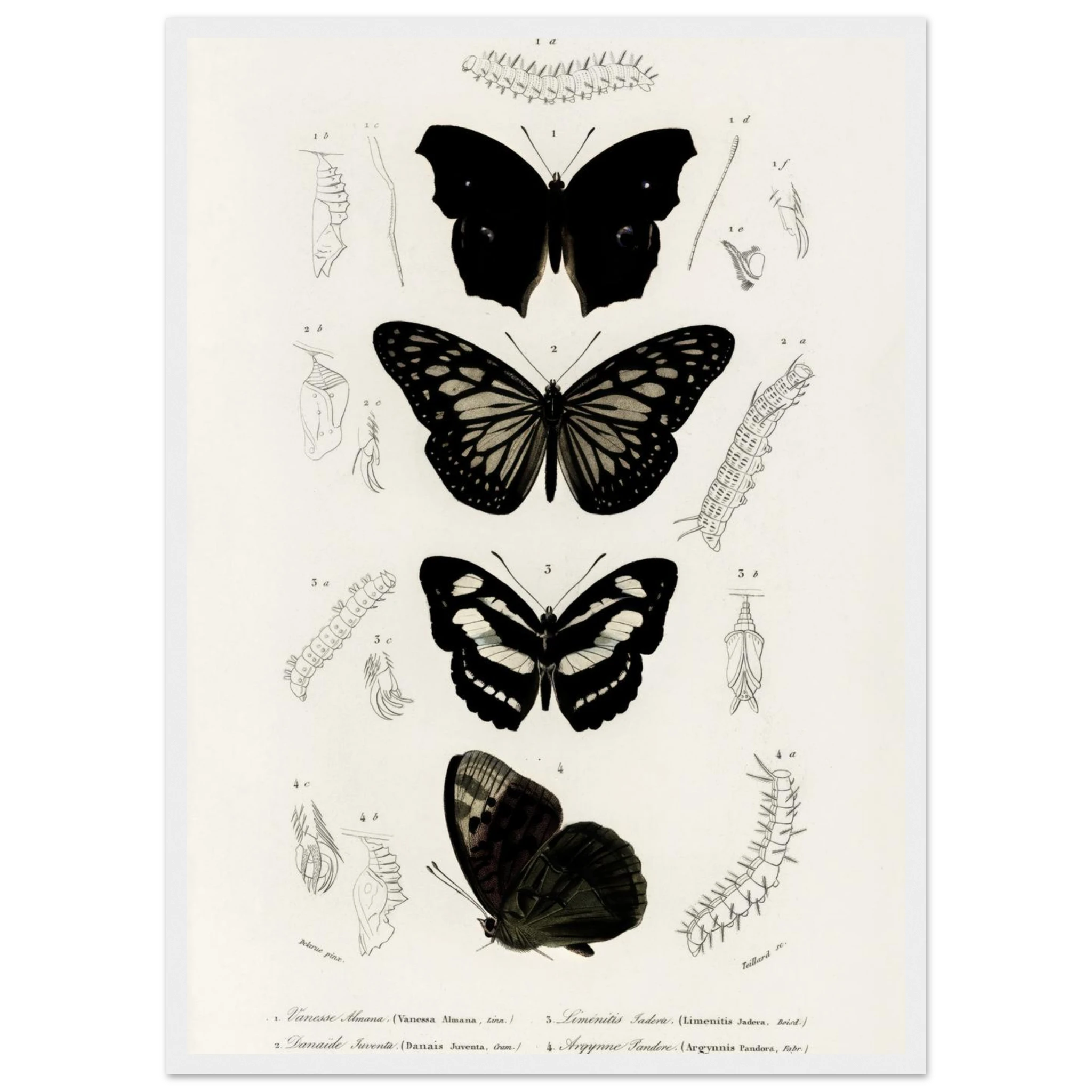 951db498-5060-493f-89e9-572a61c2b232