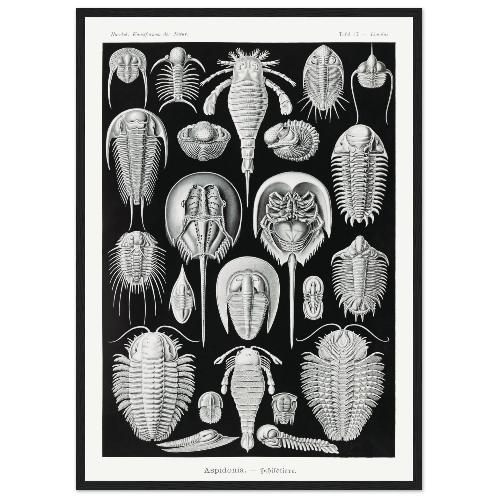 9520de2e-8461-4cf6-a36b-152dfc3dc7d3