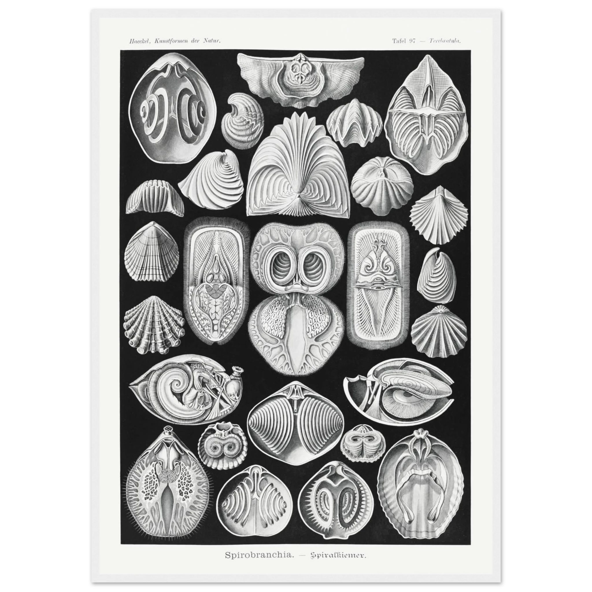 953ff72b-63b4-4abd-b98c-afe1b4aae1ab