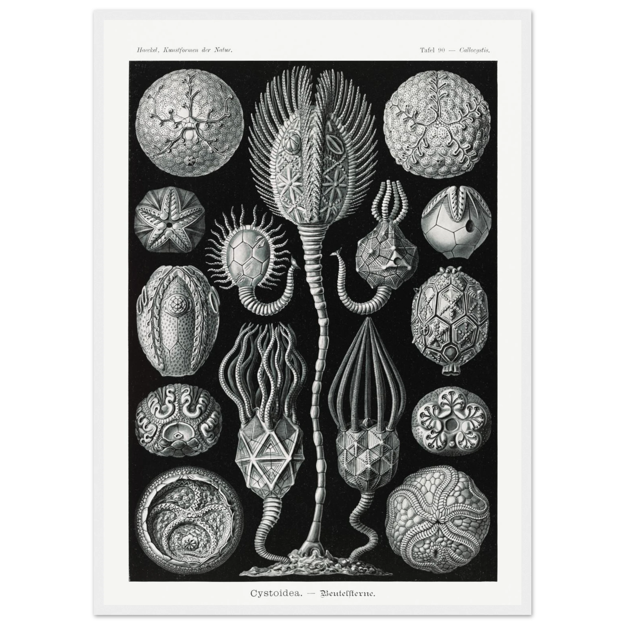 956cc9a0-85b9-4e47-8190-629a9172cdee