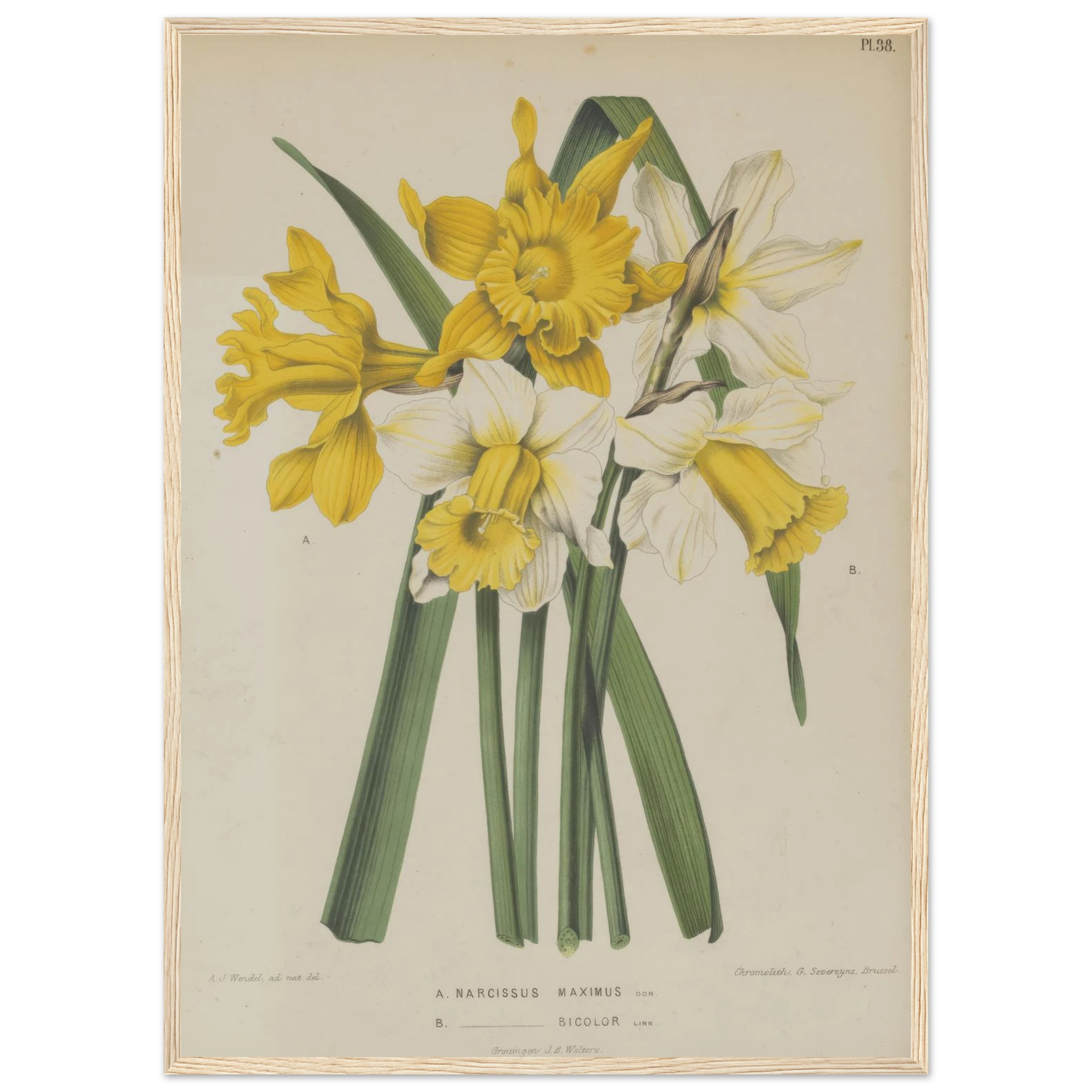 957ee4bc-5f73-4e1f-8a15-46cb3e84e318