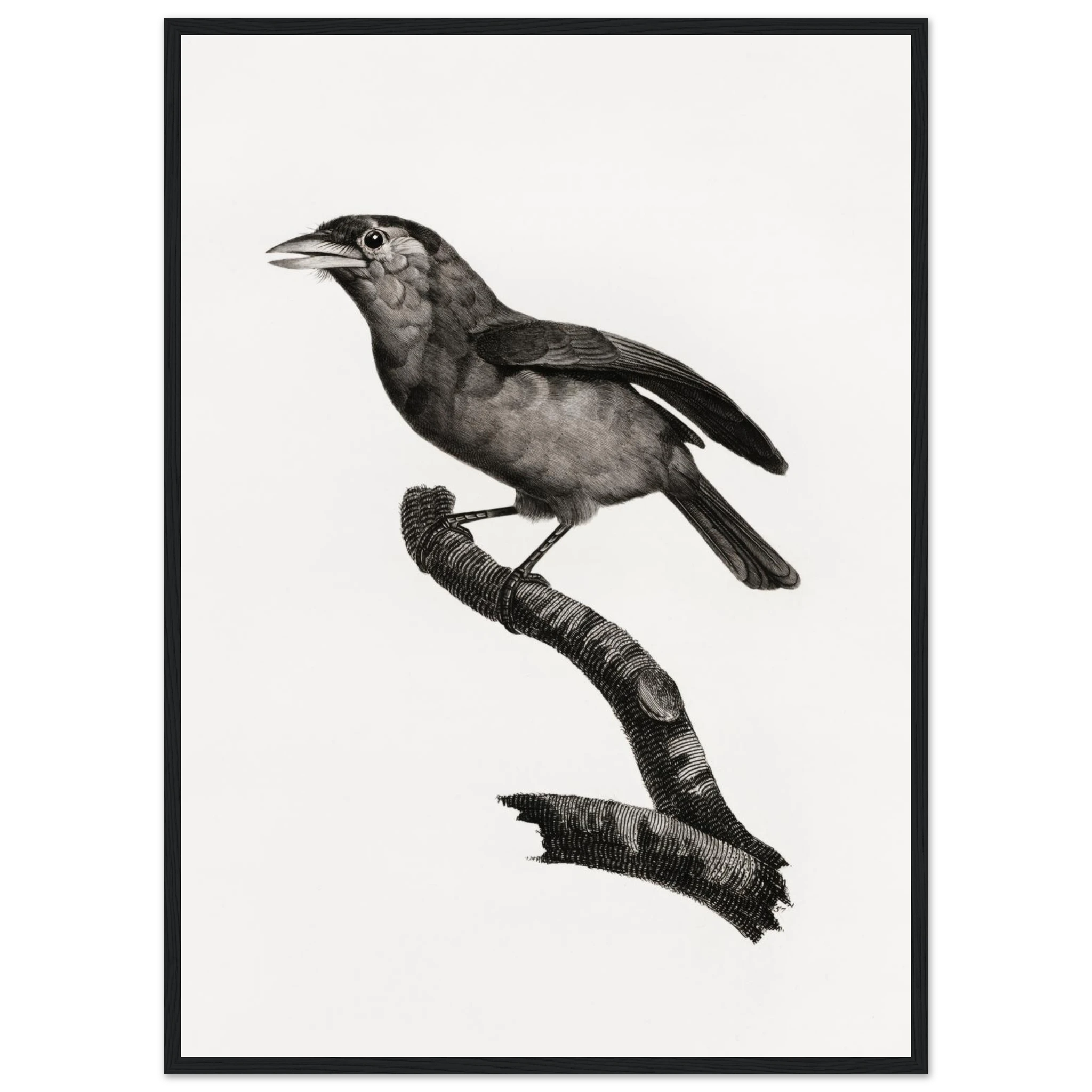 95a9c9f2-3d0d-4c91-8b17-eebd50beb933