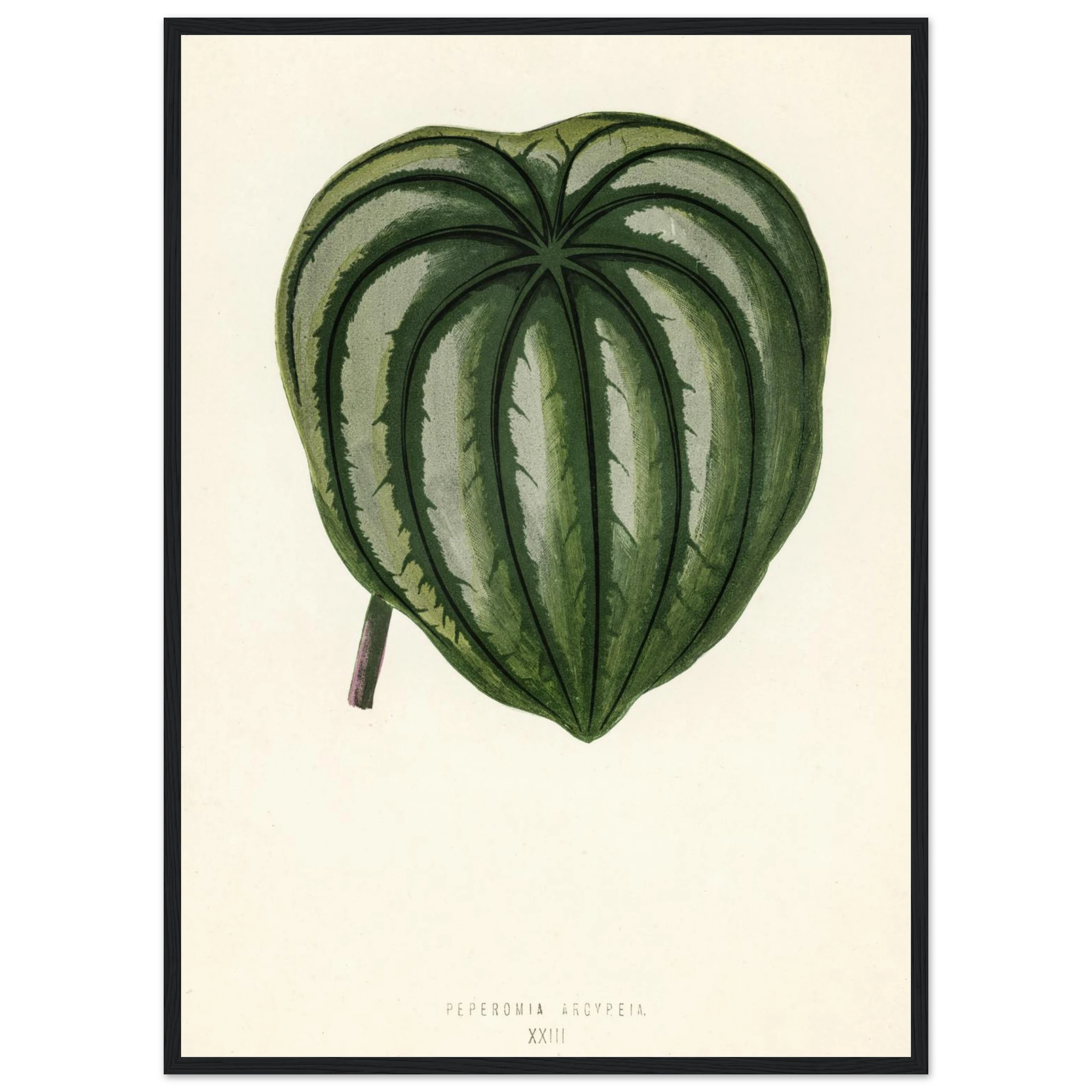 95f2e0ec-0c9a-4c39-b99c-6ac93779166f