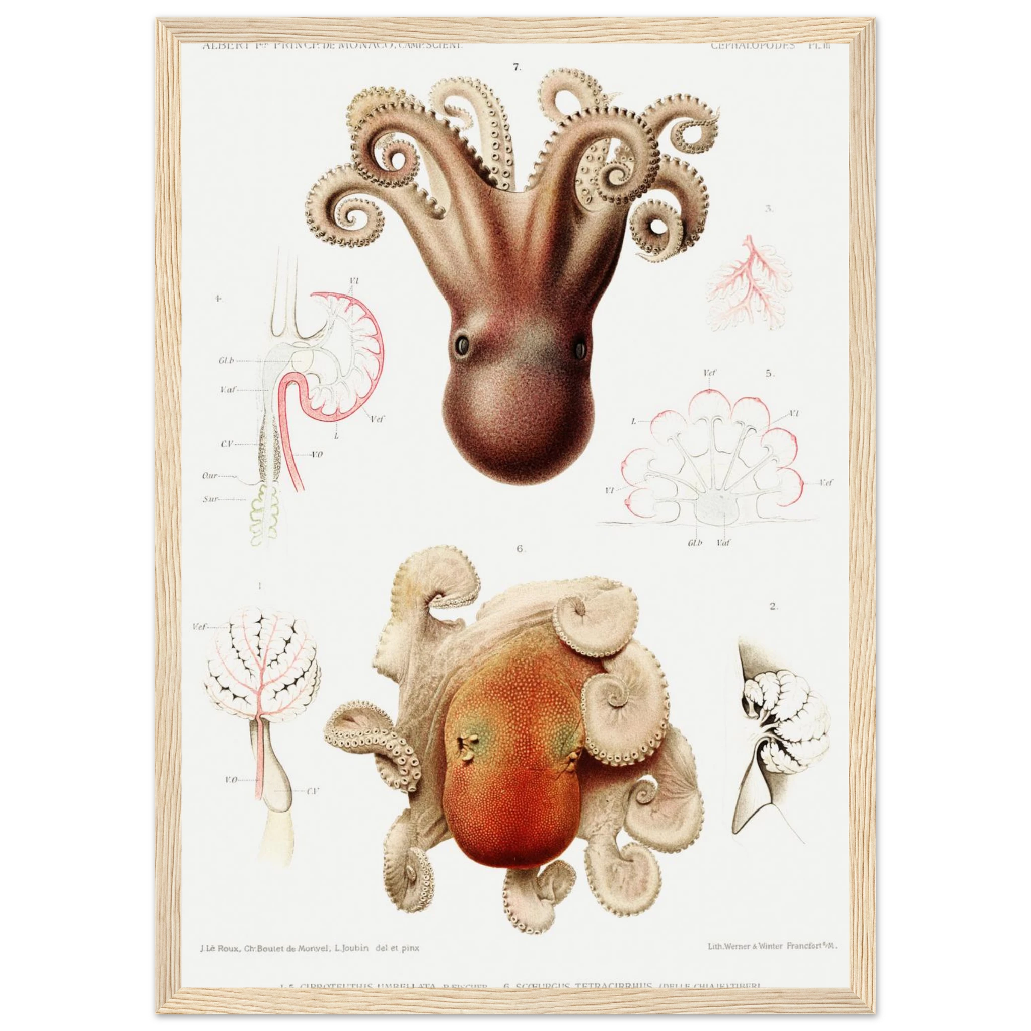 96159297-0860-4c6e-8600-9d21b53f8daf