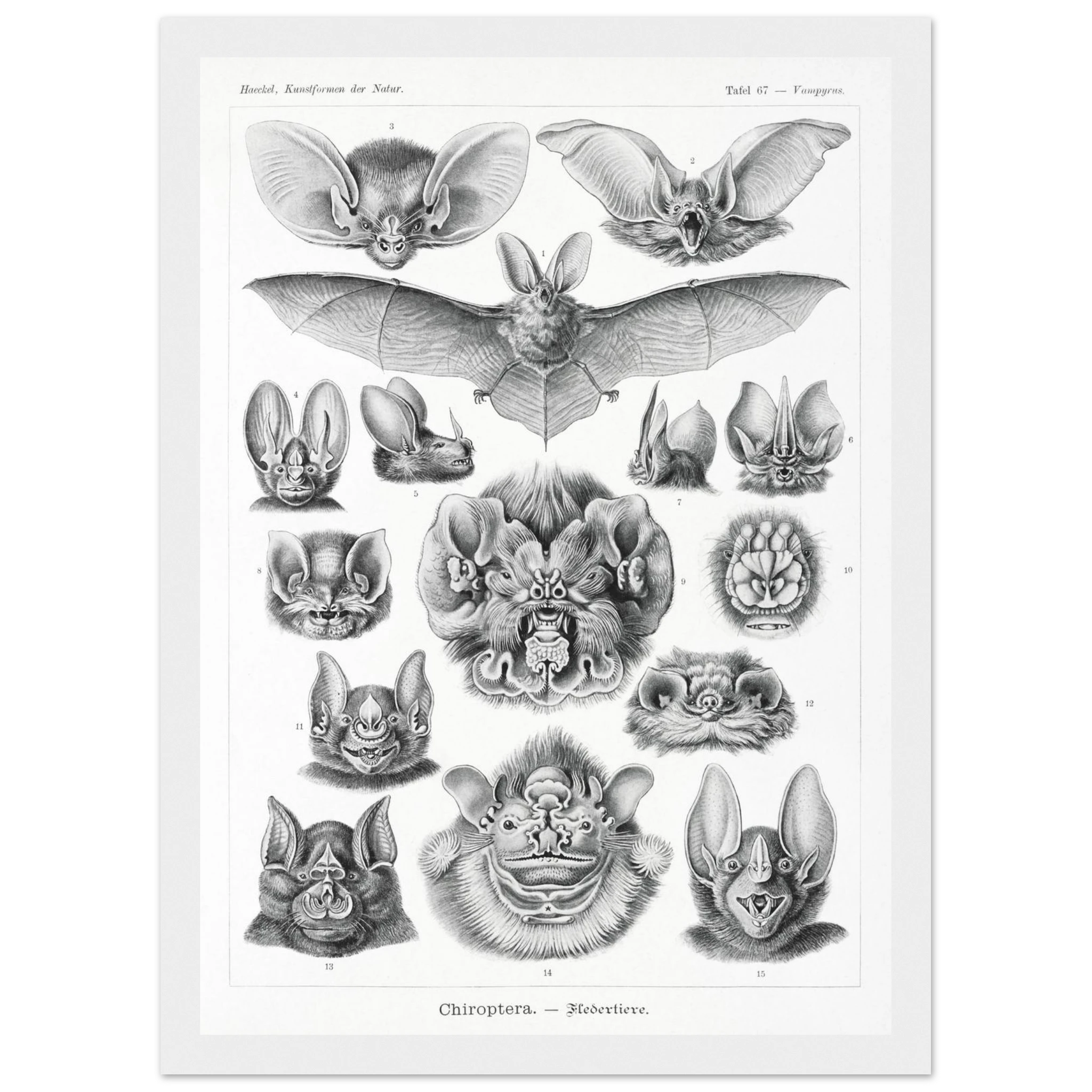 962310e6-1ba1-4880-abad-a07c273ba0b0