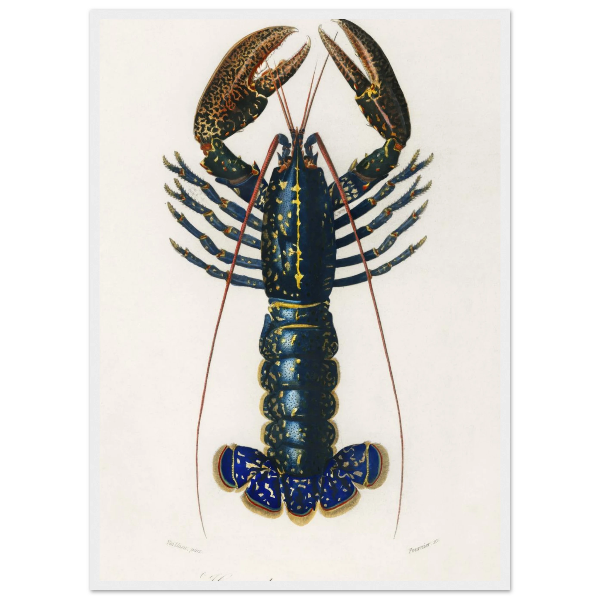 9626f431-d114-4444-98e9-d26c603b0977