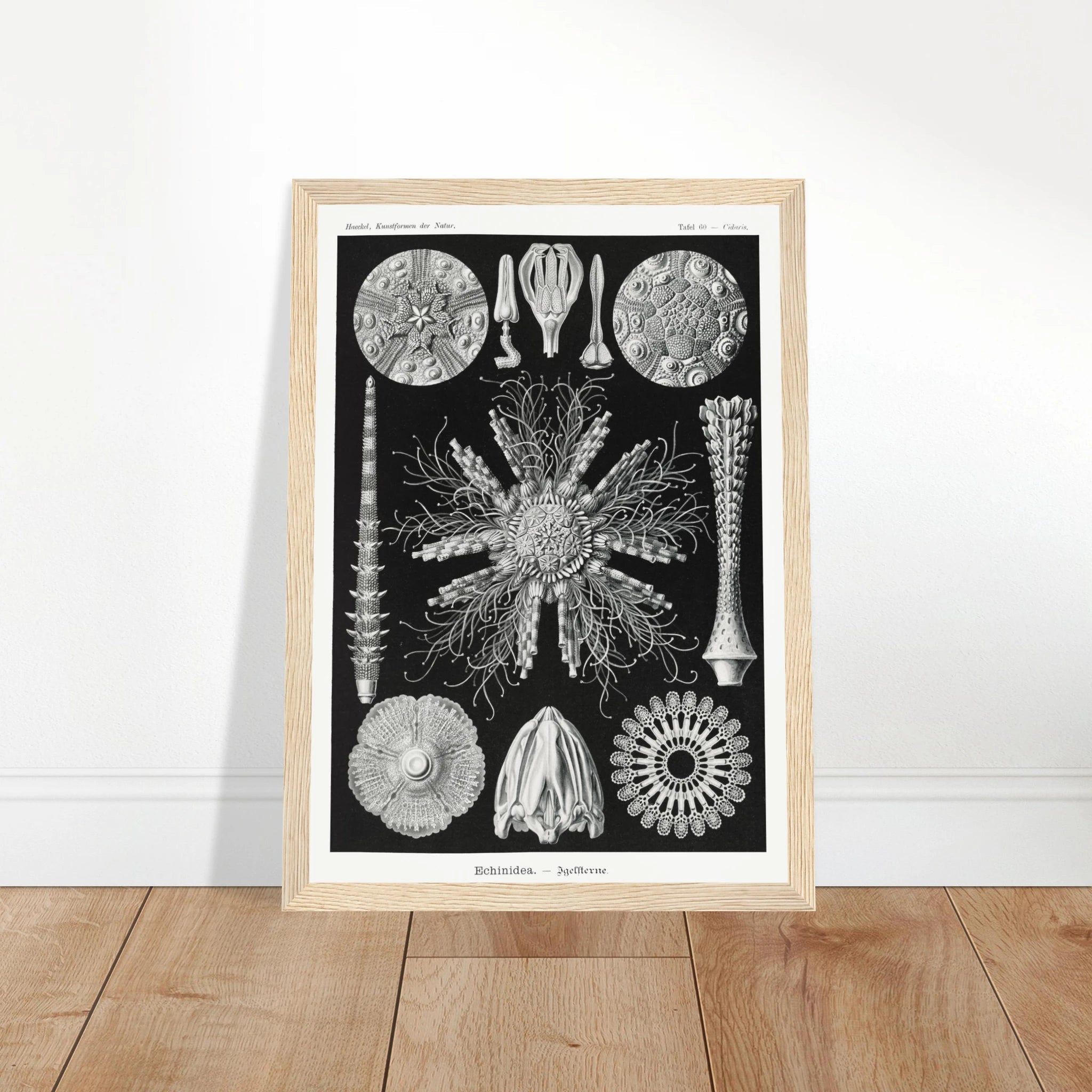 96726dba-2a9e-4585-a945-44435664c39d