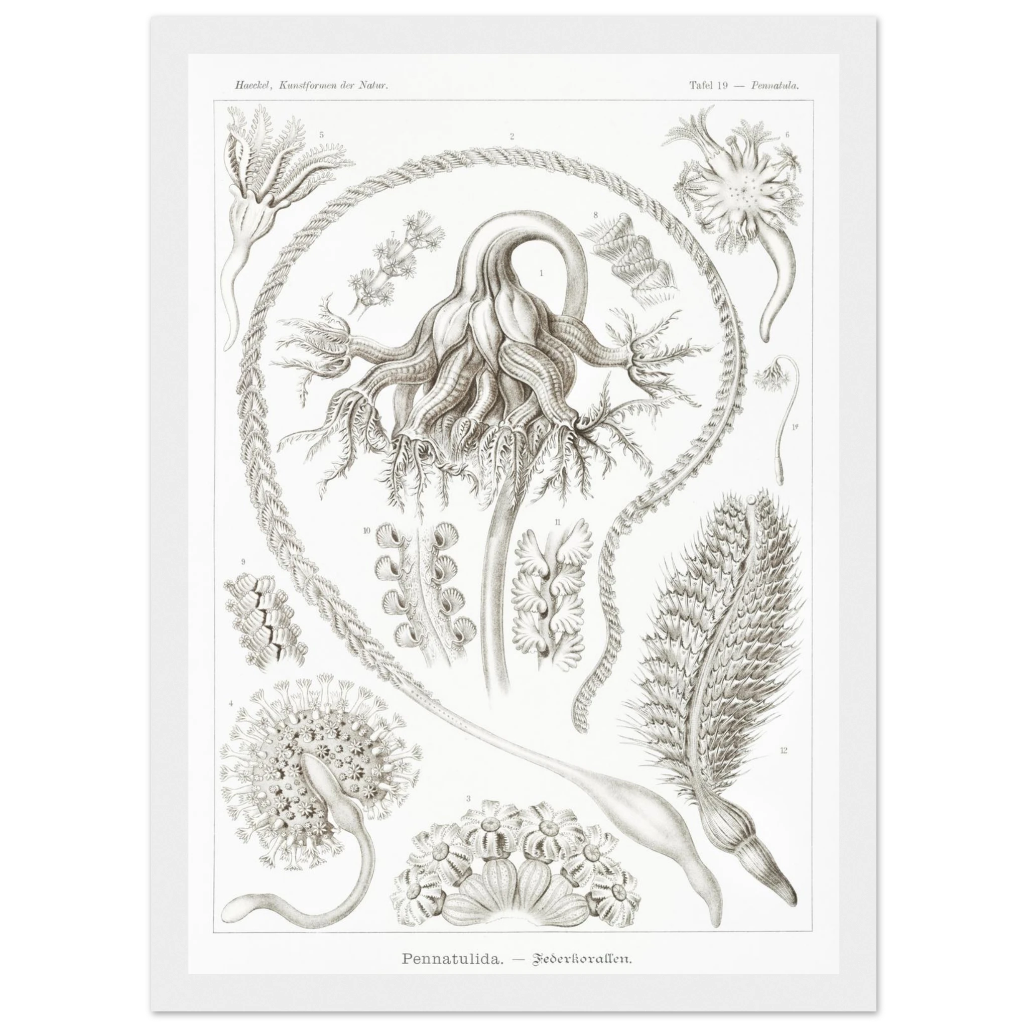 96bd766f-68f3-4f2c-b7c2-6d336025e625