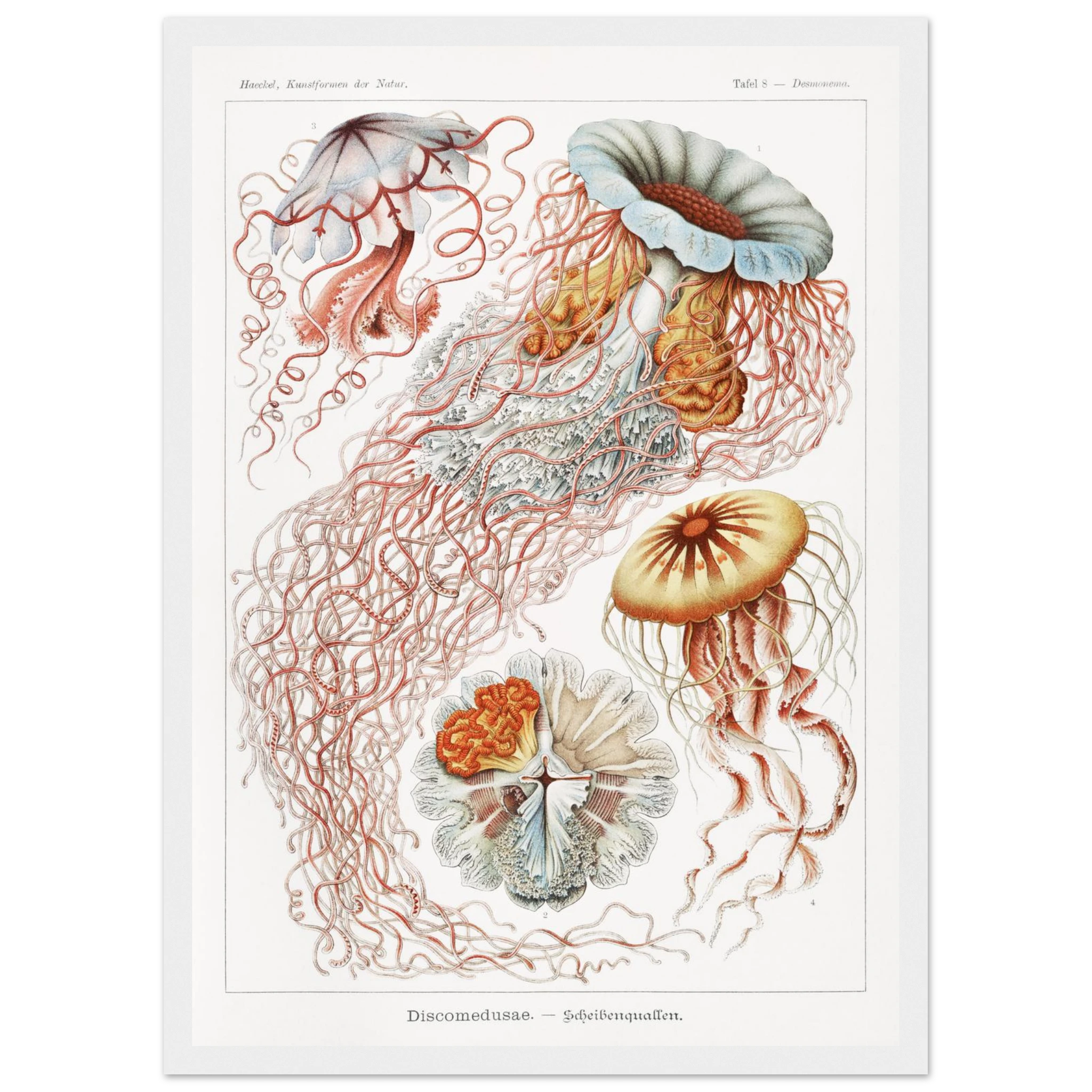 970f2f20-65bf-404b-9a0c-0b70001dfef4