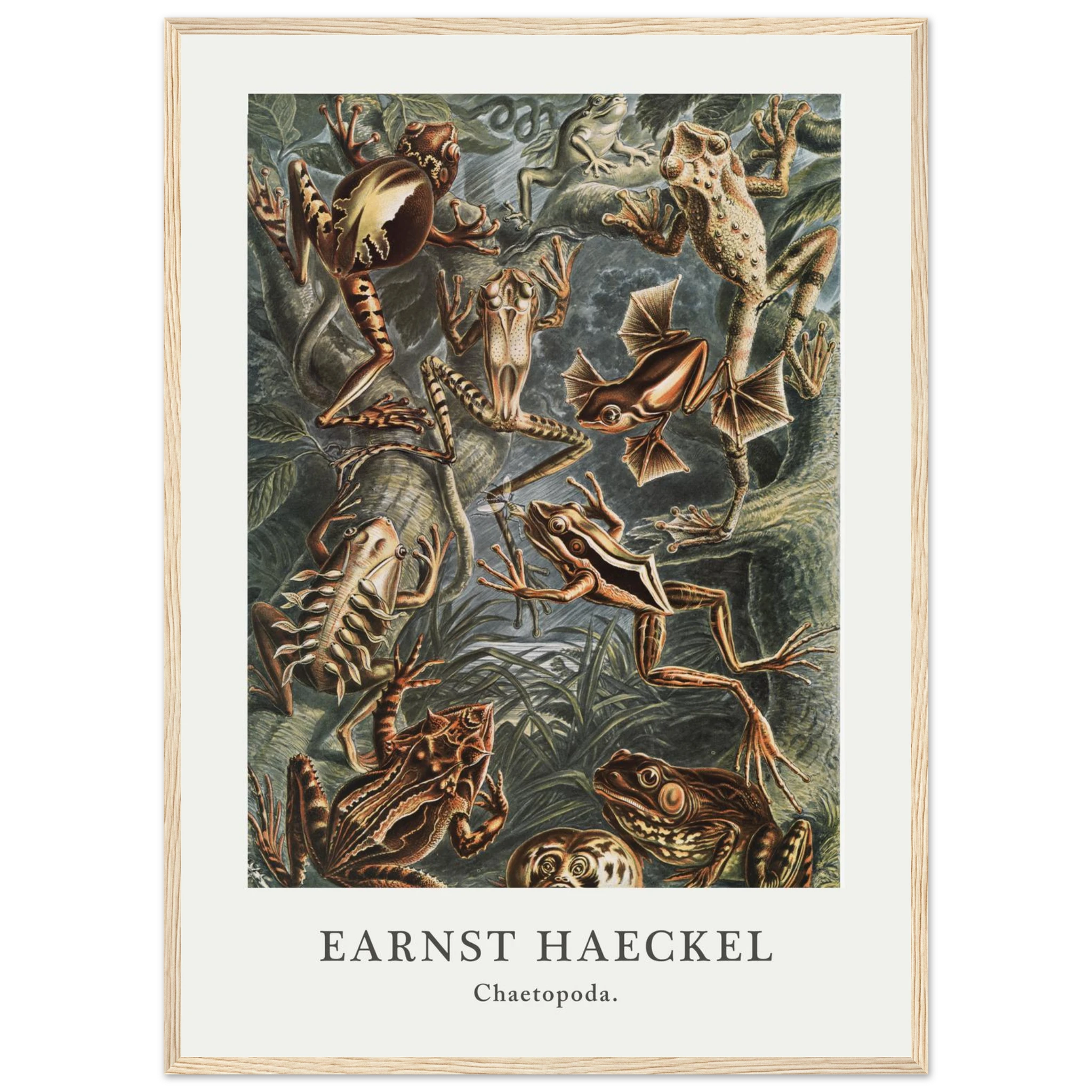 97339615-b21d-47af-a185-92d1fb1ae8c5