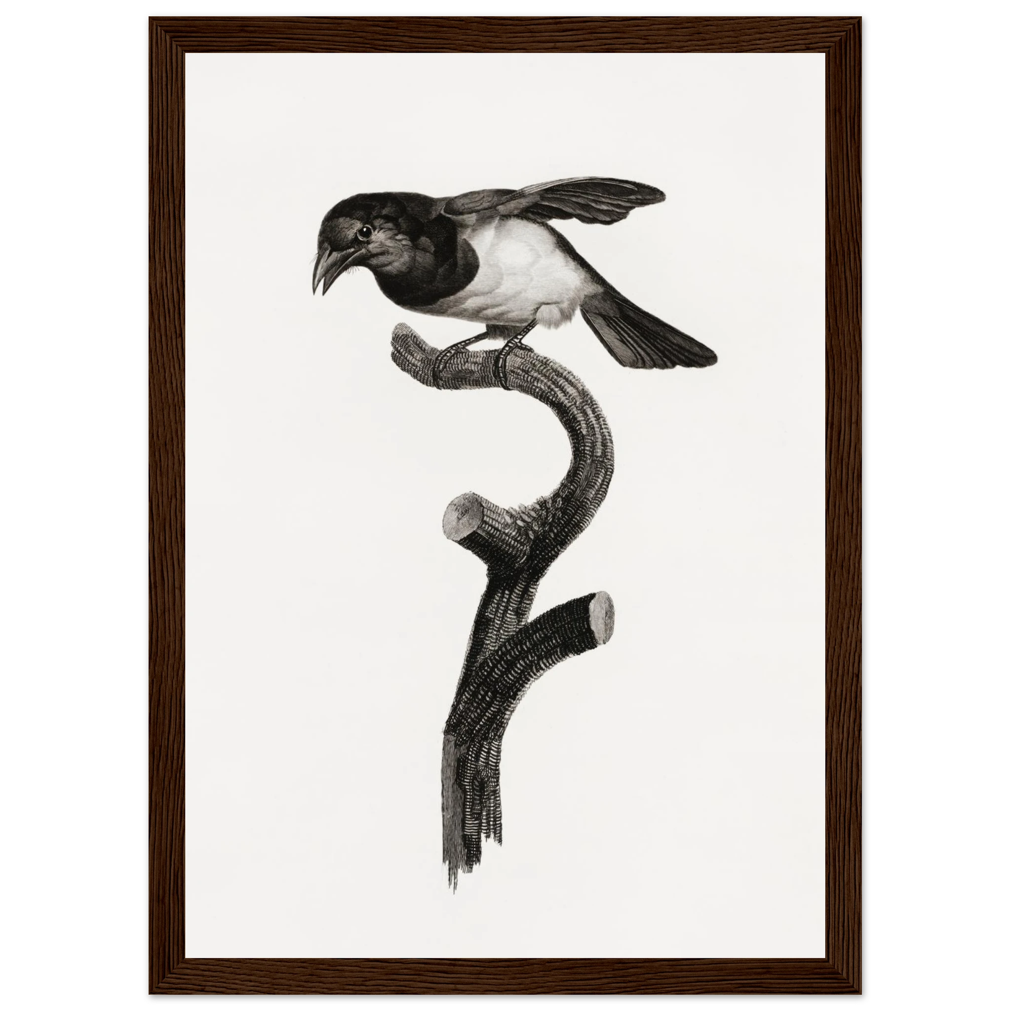 9797cd4f-7158-4f44-9b2e-03fbfcc17de0