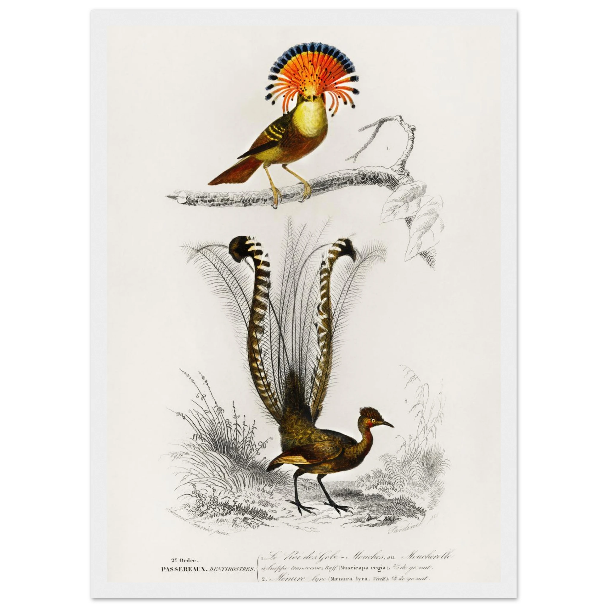 97c15272-2b9e-43f2-be84-e23831e31653