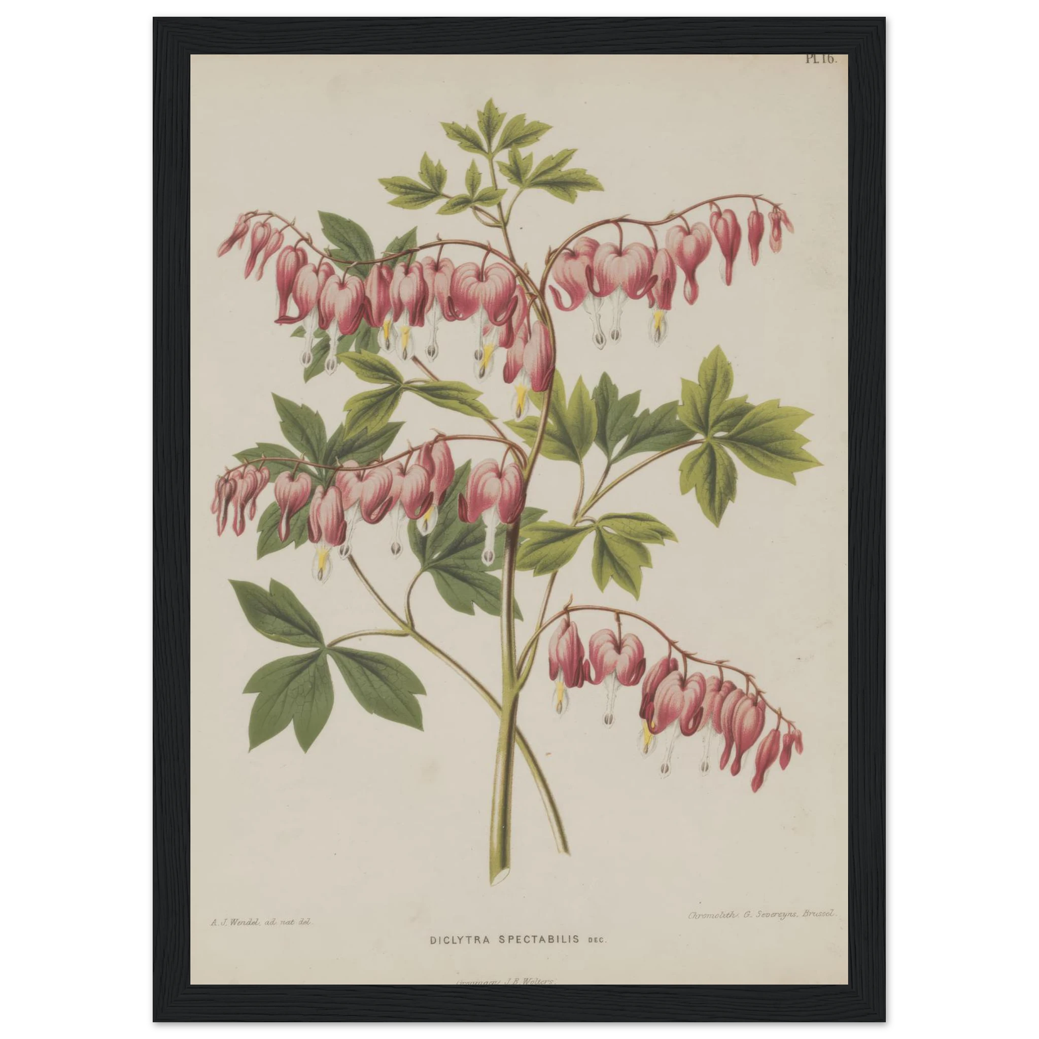 97d21478-90a3-478e-a45a-48aa0947baed