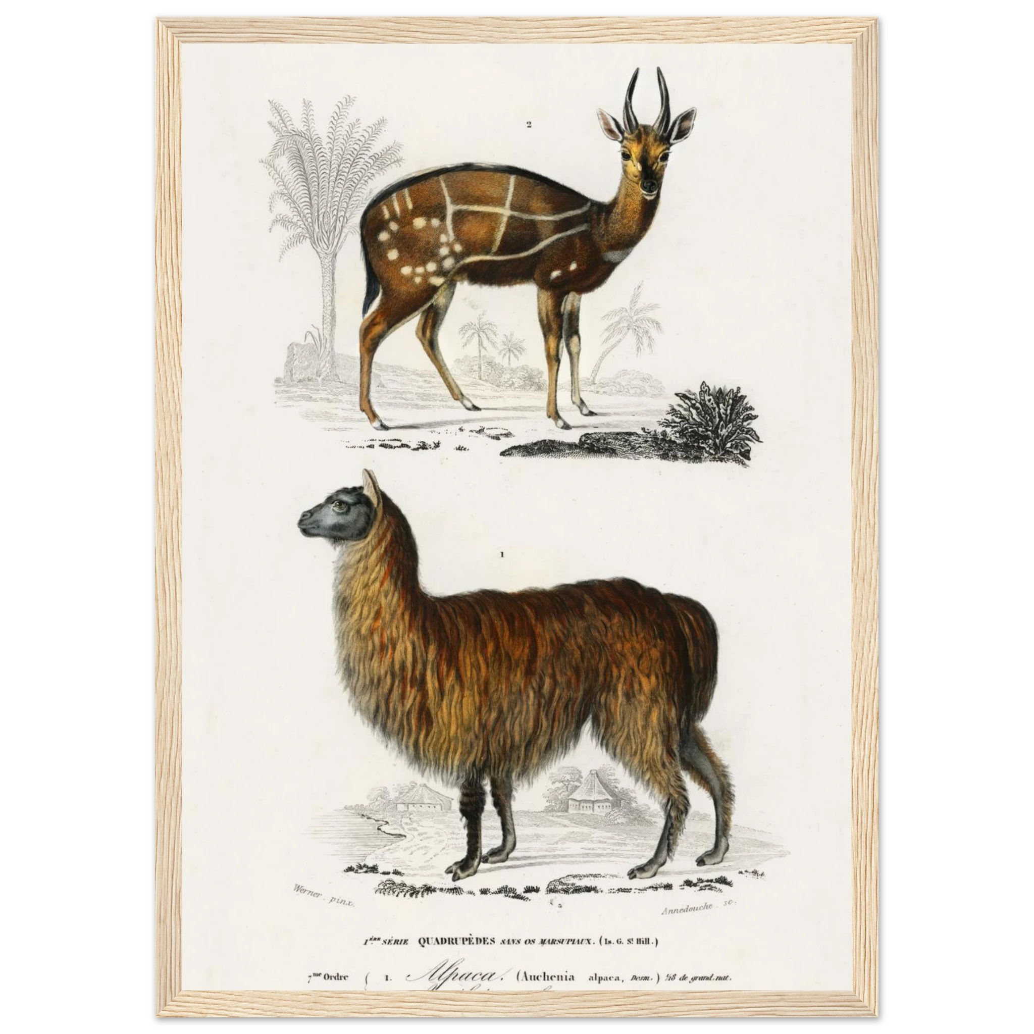 97e092c5-4ecd-4cd2-b52b-da40c7f83b70