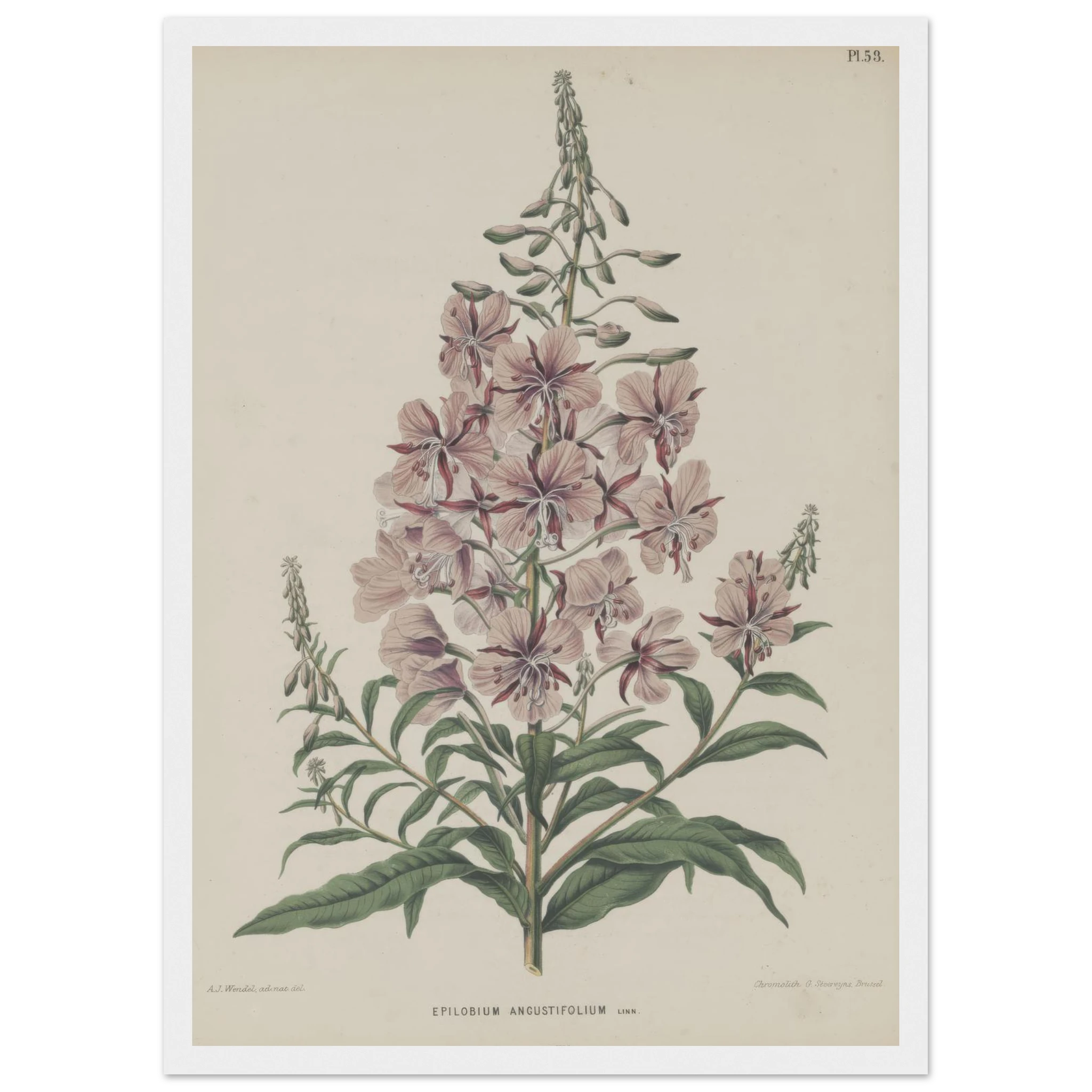 9864f0a4-f851-4dfb-8f9e-07694b332e29