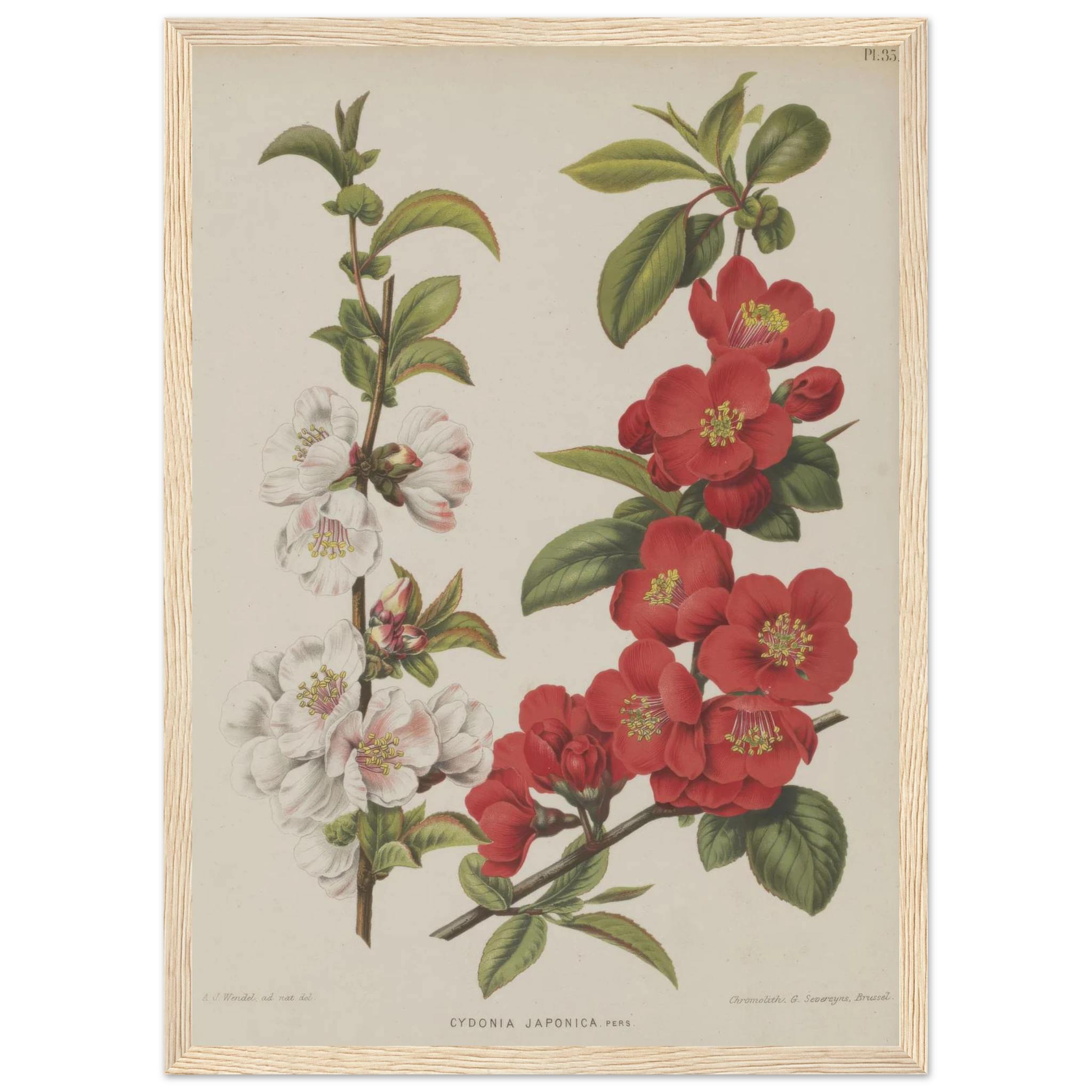 9879755c-22f8-4ba0-8ece-36e1241e95c9