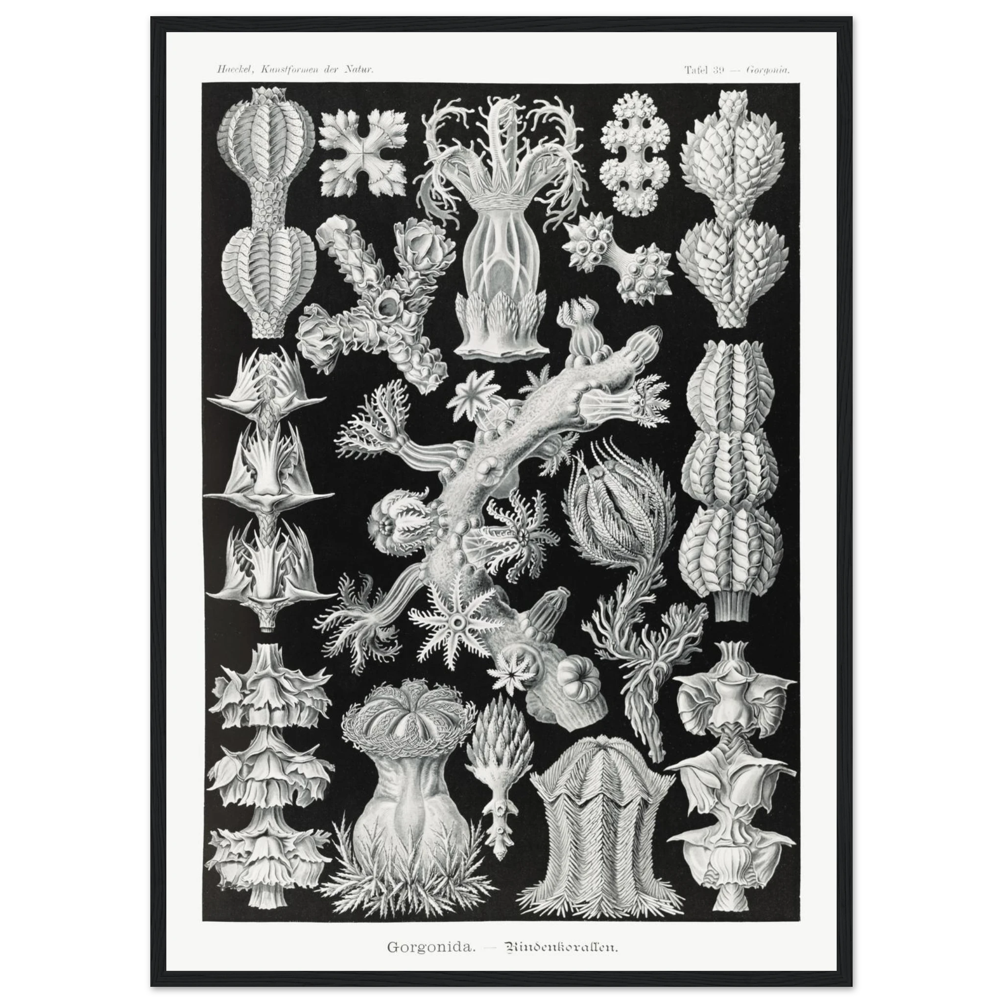 988ad3c3-be32-4a77-aa84-607b46267d48