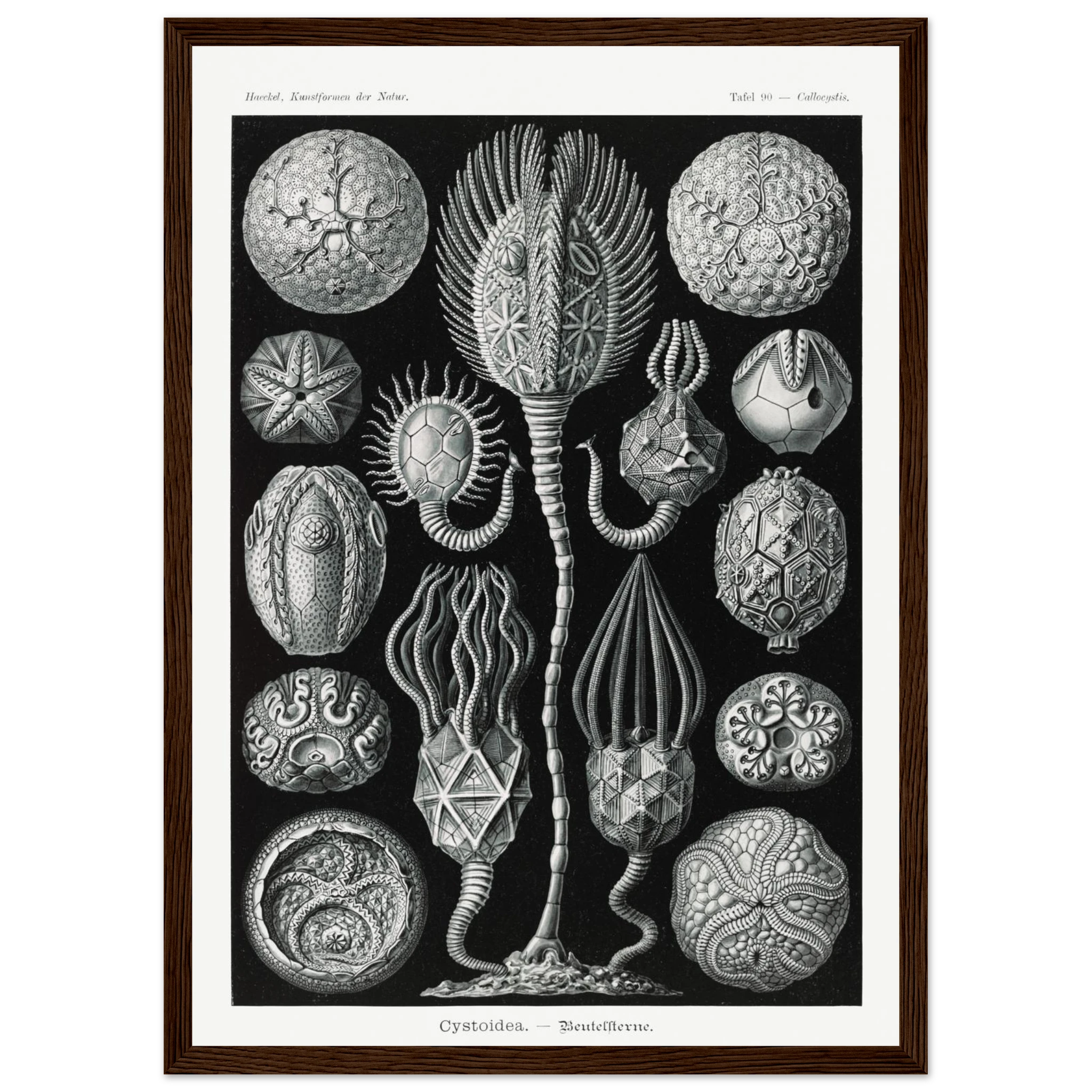 98b30d21-38dc-4ea0-87df-50280e1e6235