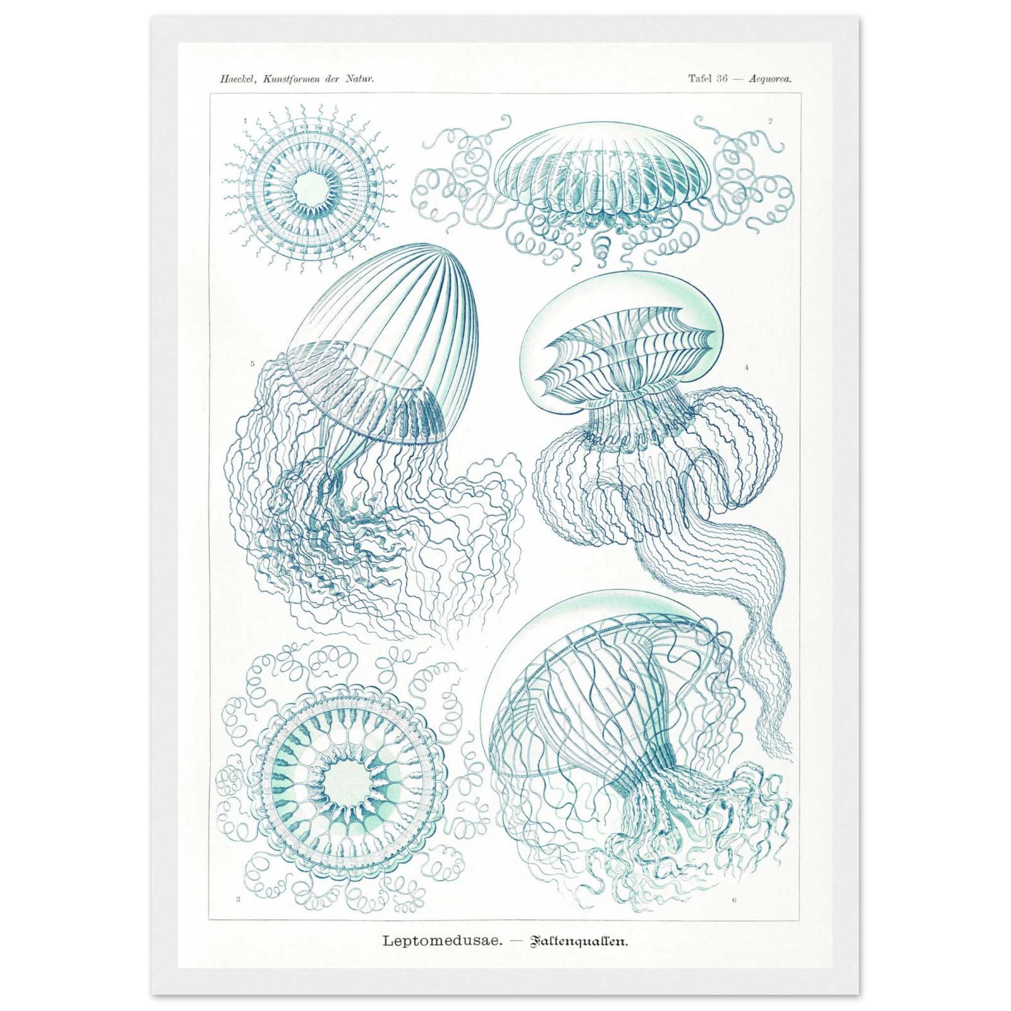 98d9f402-9aec-4d03-92e7-c9befb5eb63f