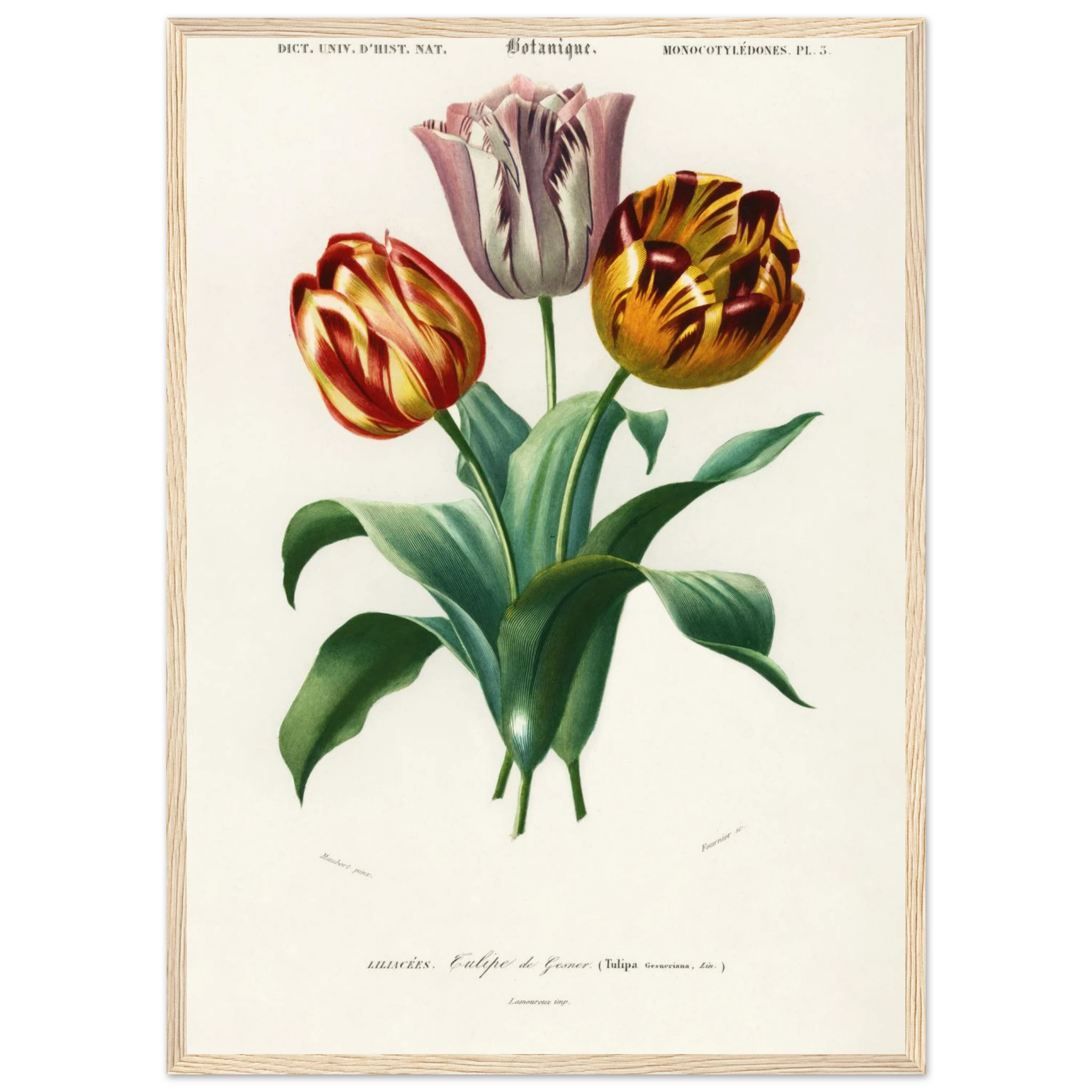 98e3ebdf-c431-4b95-babb-ba2778cd24d3