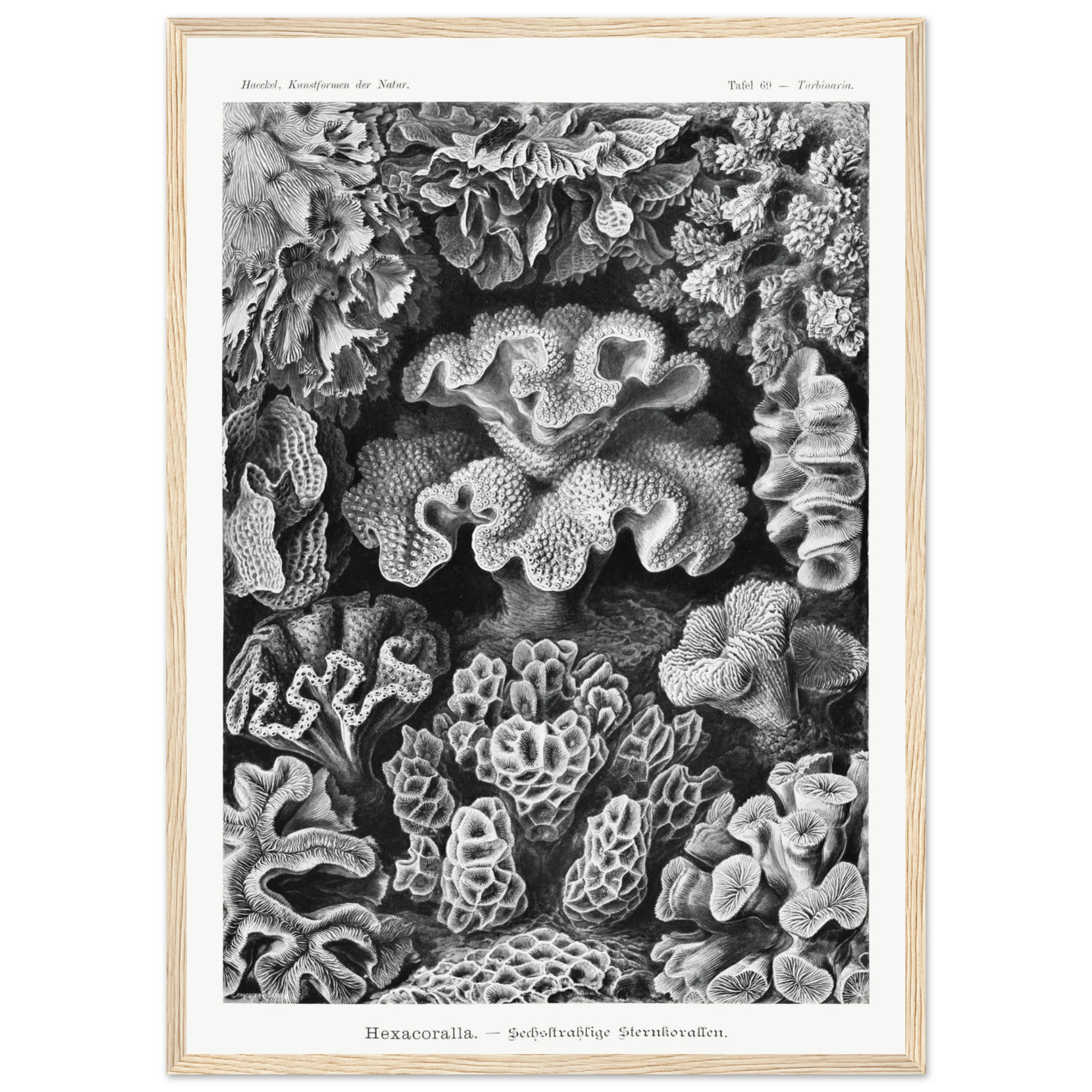 98f6d61b-f48c-41f5-93e9-dd65bc97a686