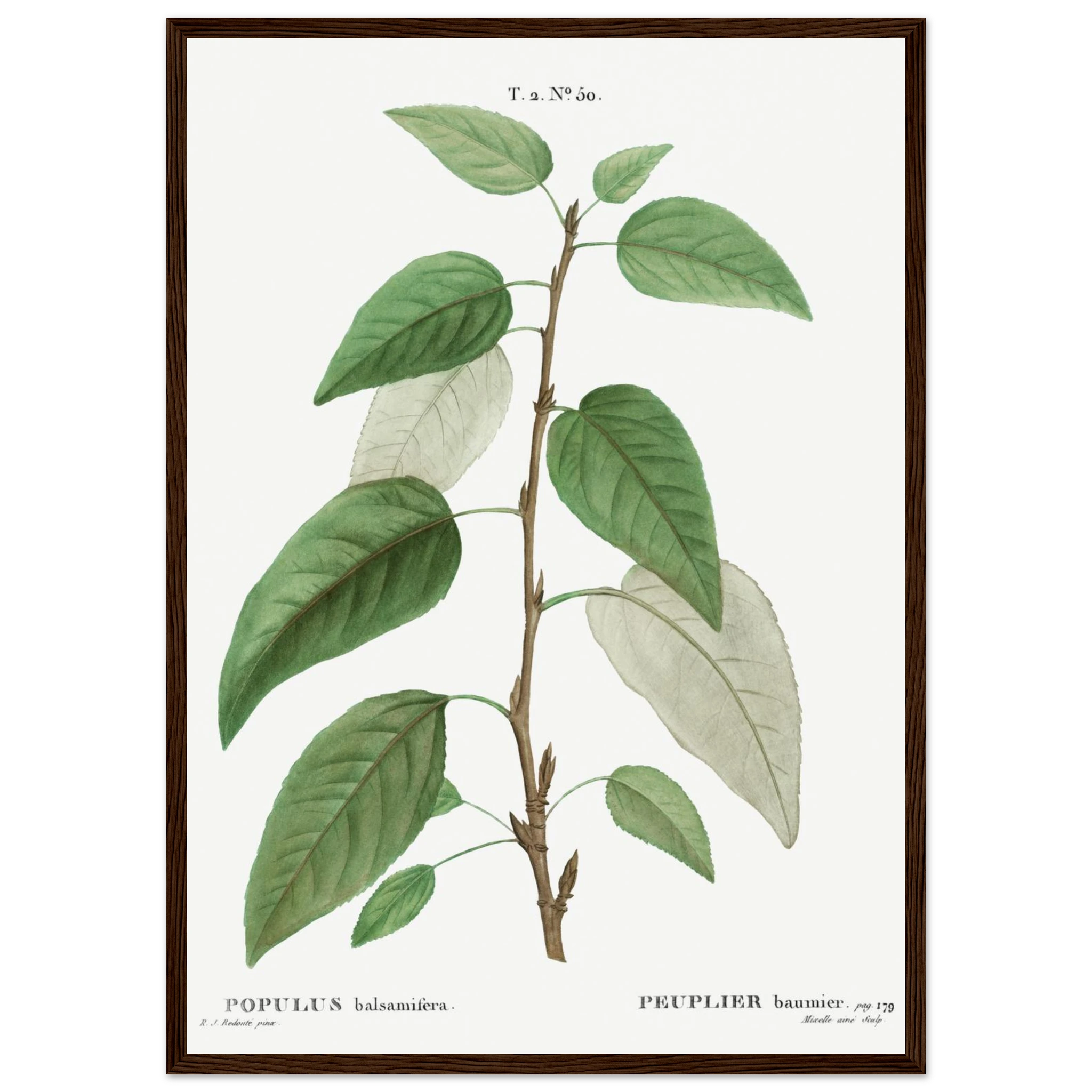 990764ee-f3ec-459d-baa8-7346f5f3cf72