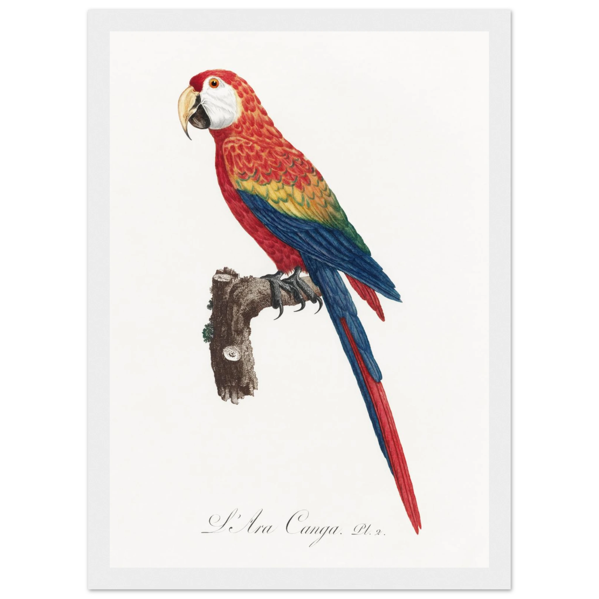 9921cd5d-c0c2-4ef7-905b-df98df673f31