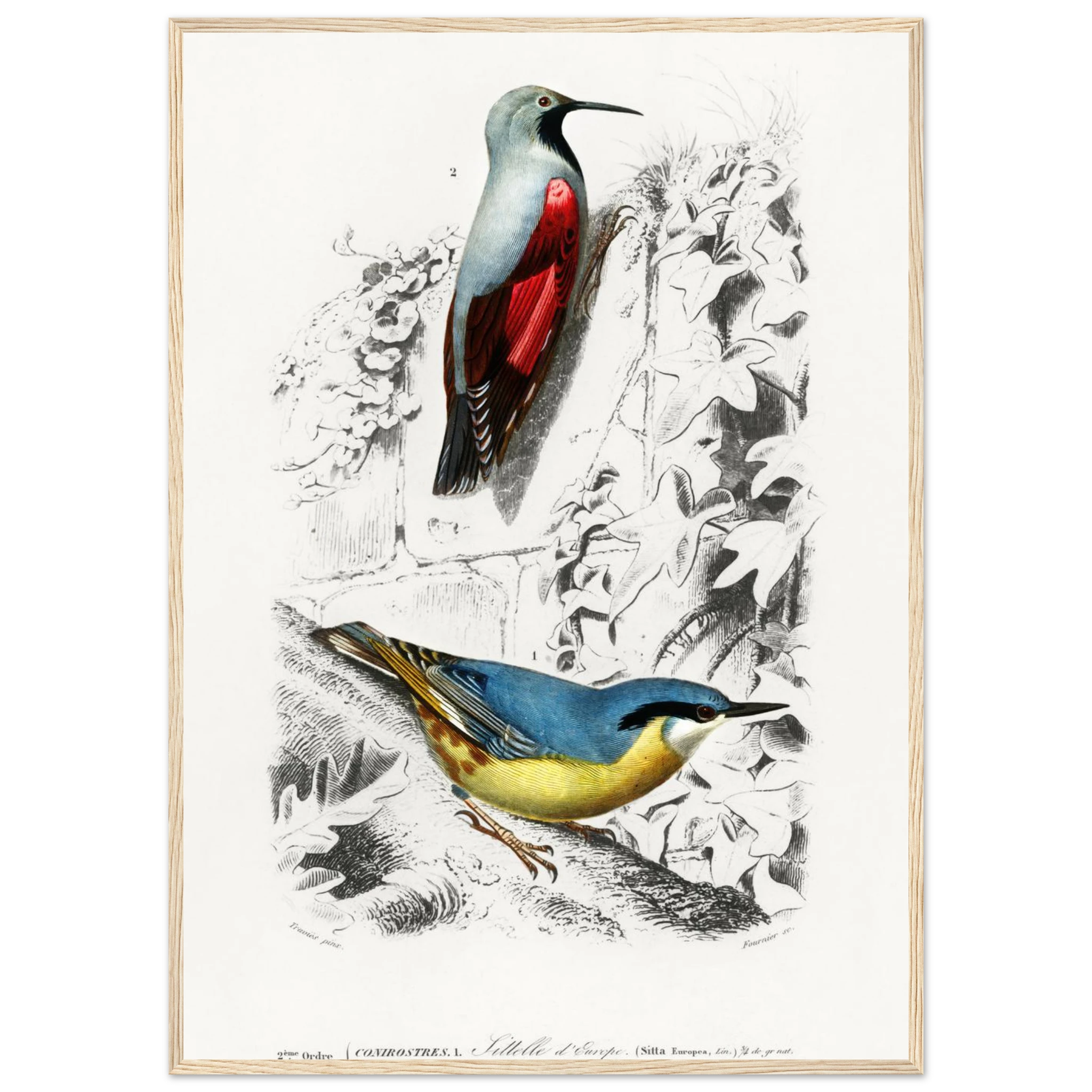 99354427-09e0-4b2c-81b5-1540f1f24beb