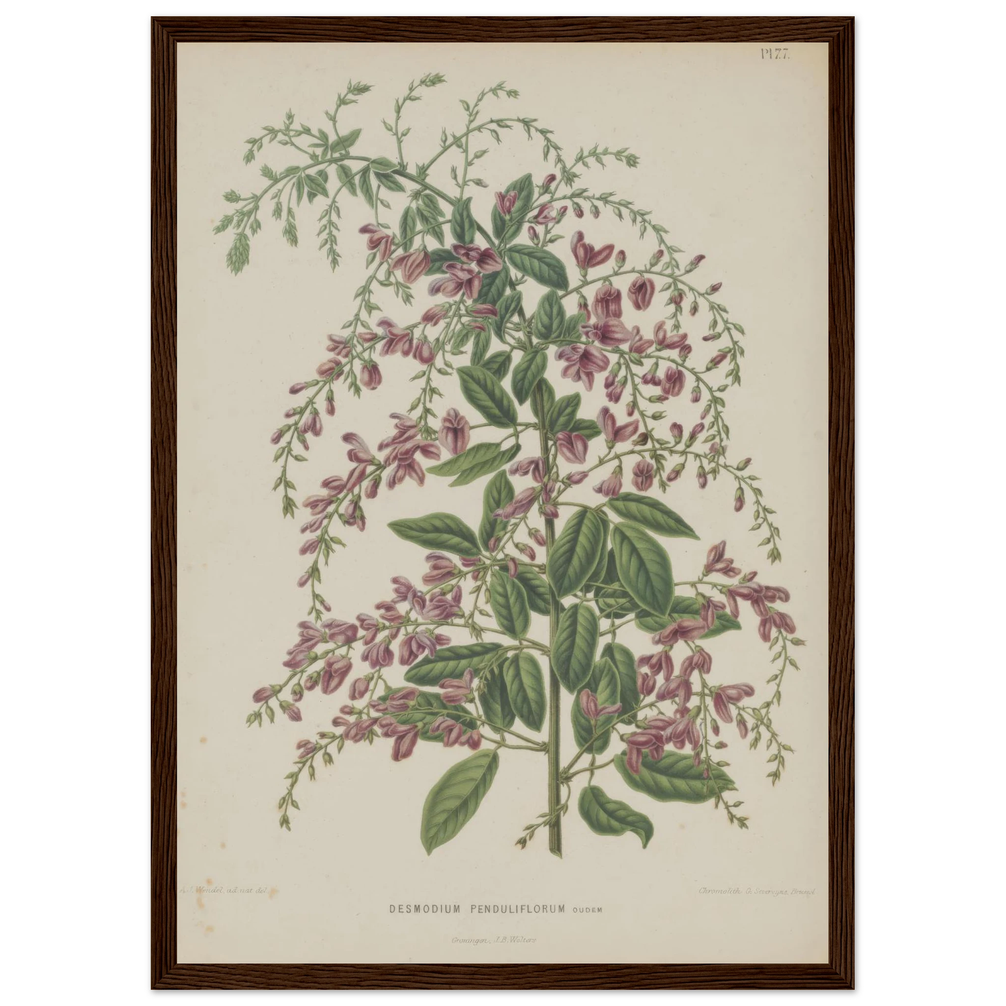 9969405e-24bb-41a8-a01a-54e3901a755a