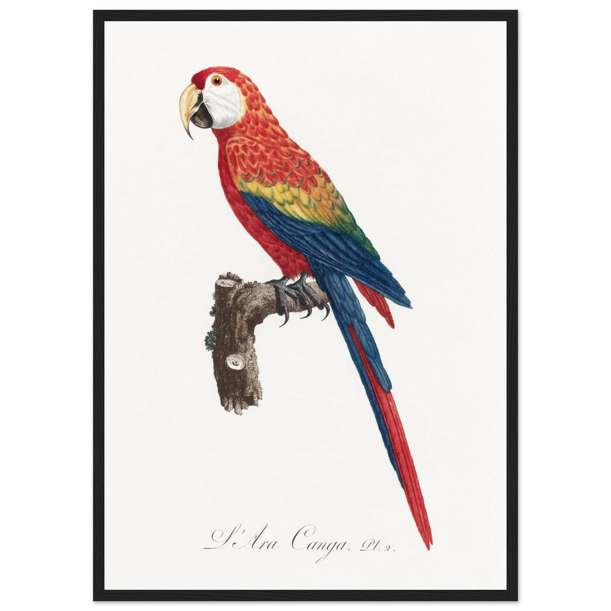 9a09a578-de8a-41af-a105-32e841aba0e7