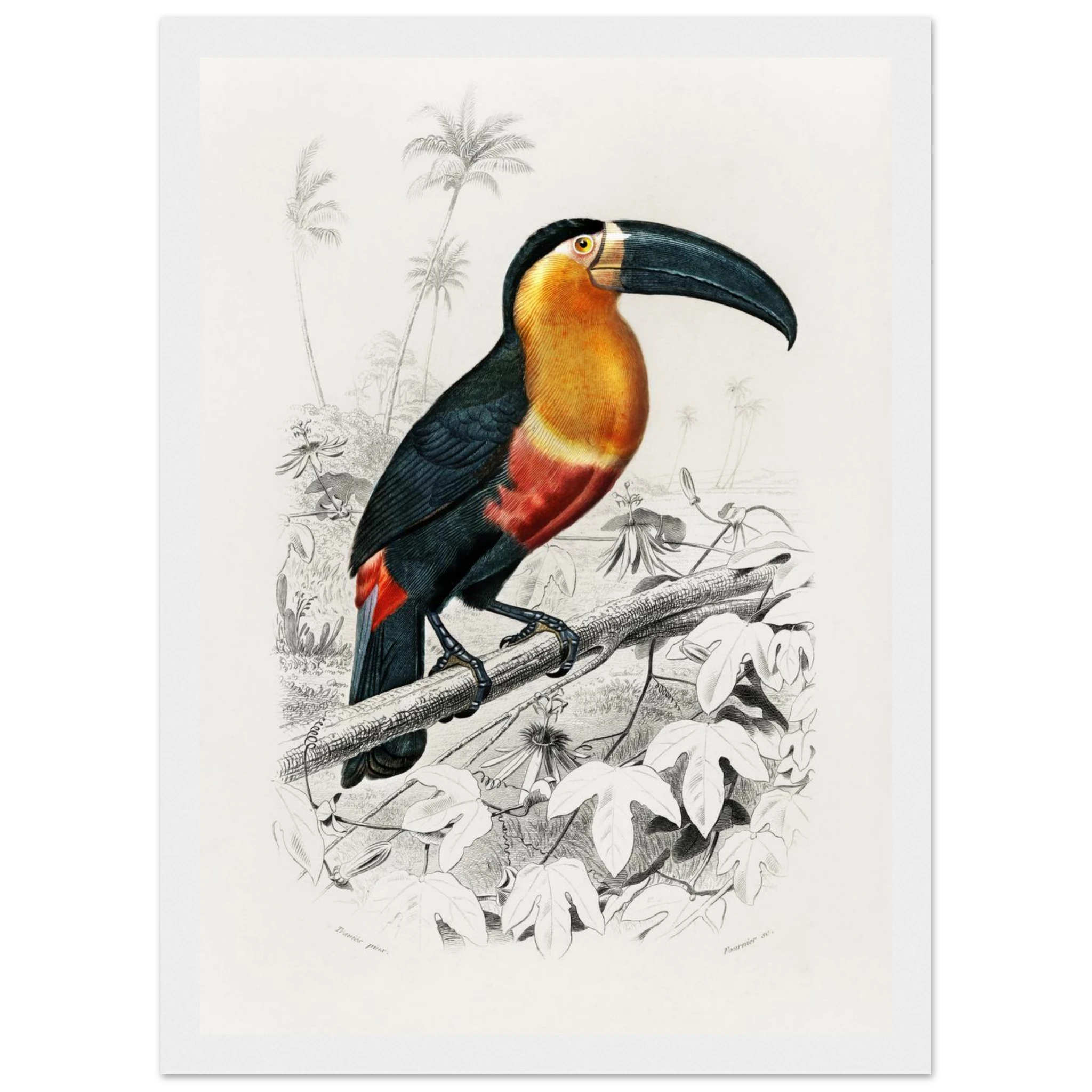 9a2ae939-cc54-4f69-beb6-31ae6c4bd67e