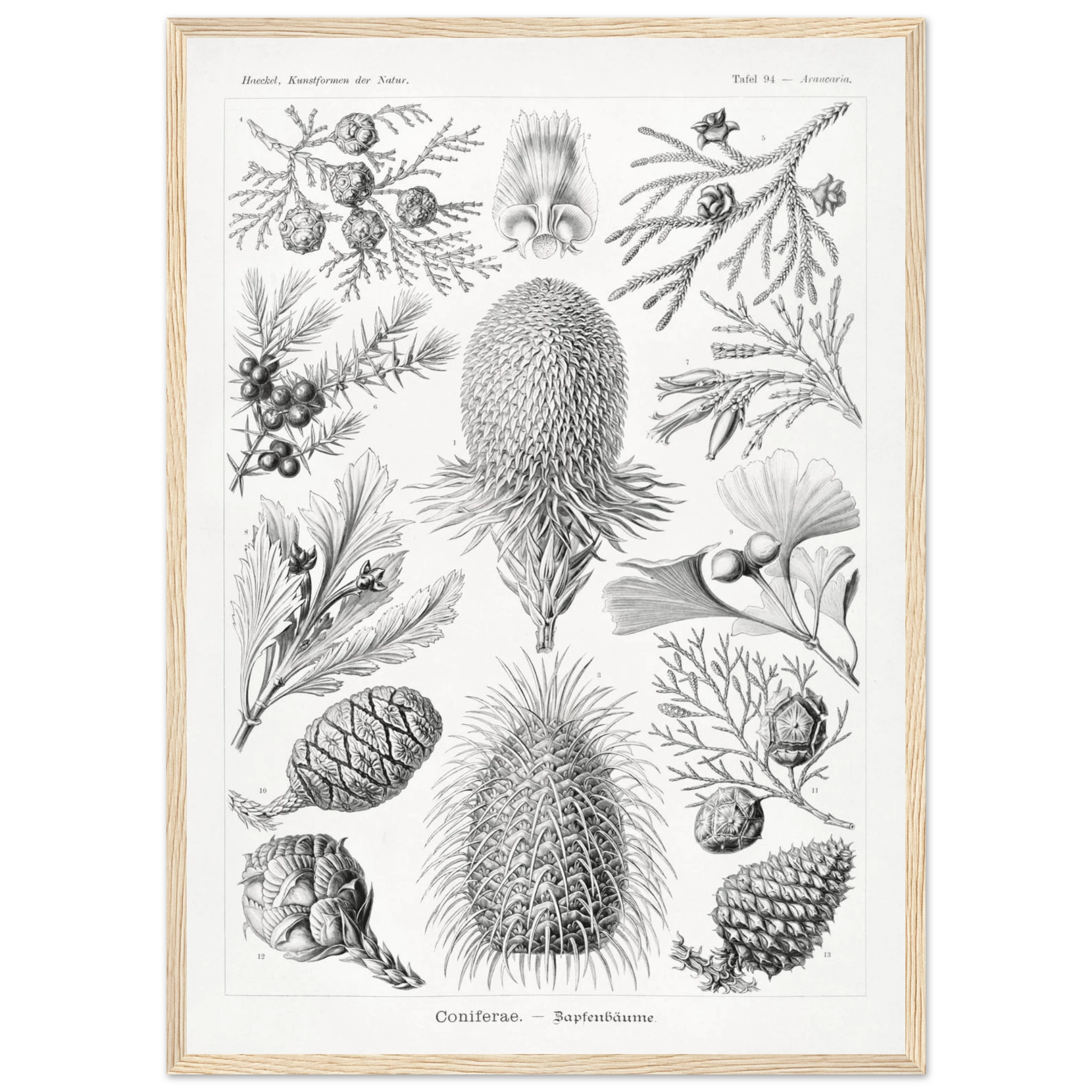 9a360d4a-5818-4c0f-88aa-efd620183b85