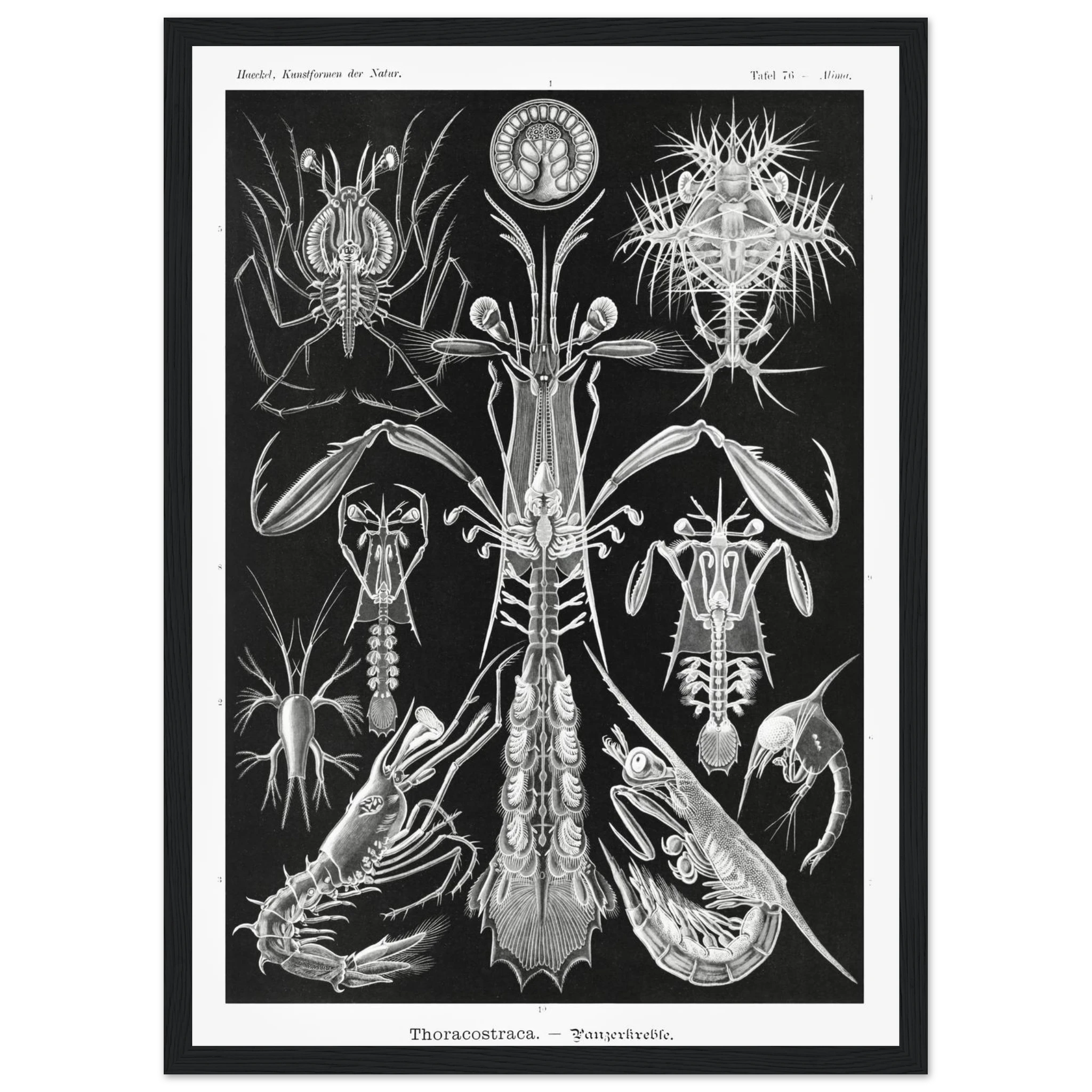 9a375a9b-266b-45de-8288-9a89569ab9ae