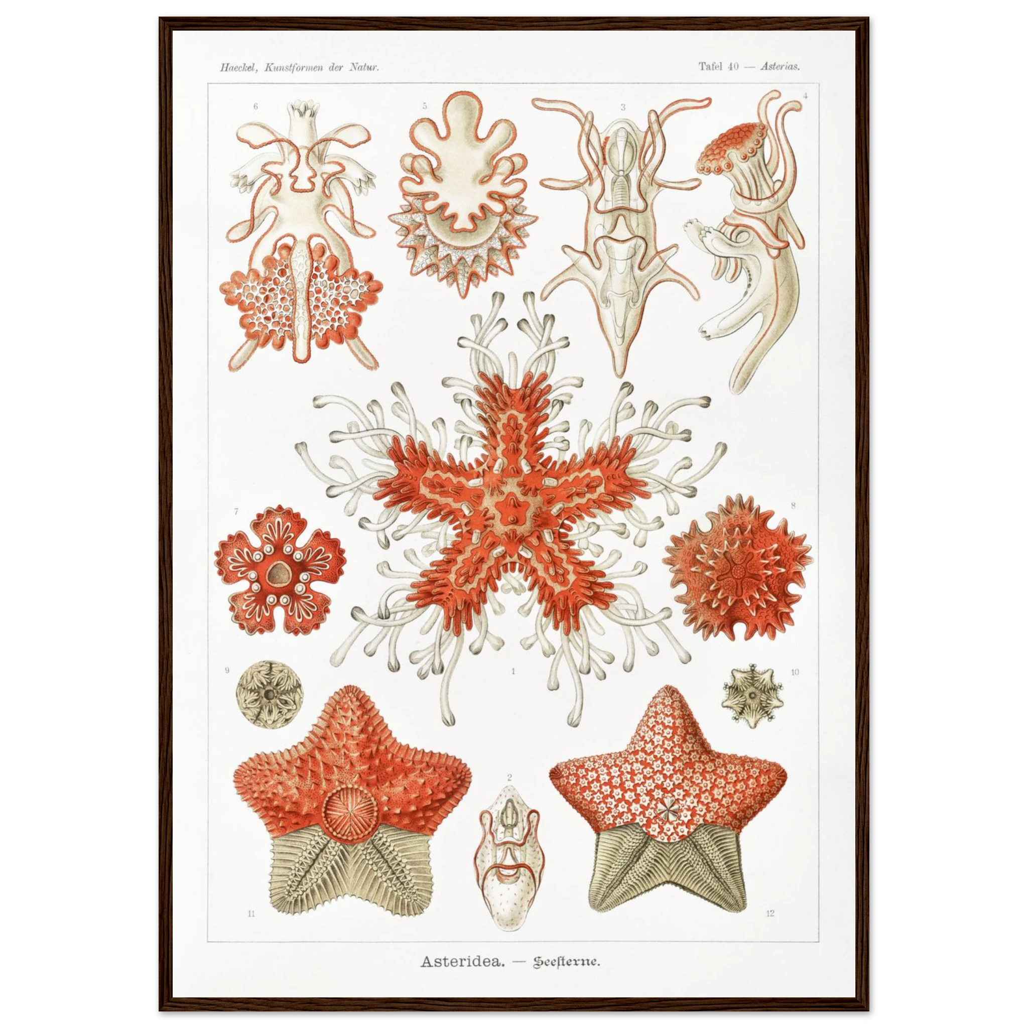 9a4edc3d-f5d3-483b-8a04-2a7f4abe65da