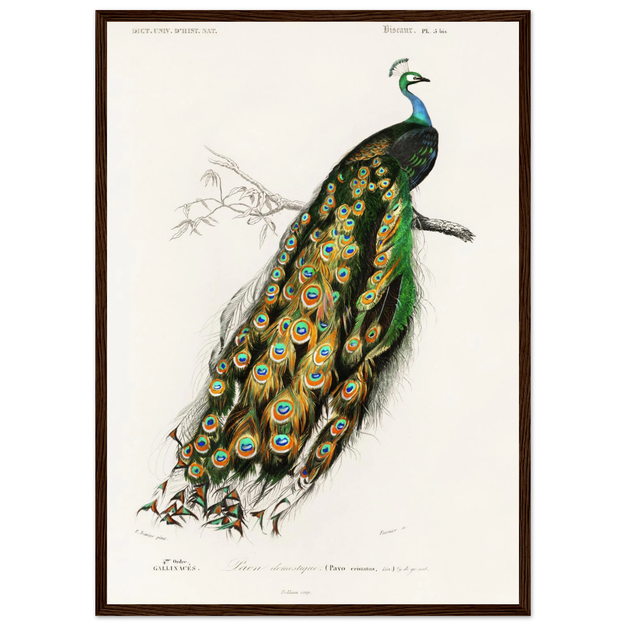 9a95ae33-f46c-440c-ab05-1d788d5b43bd