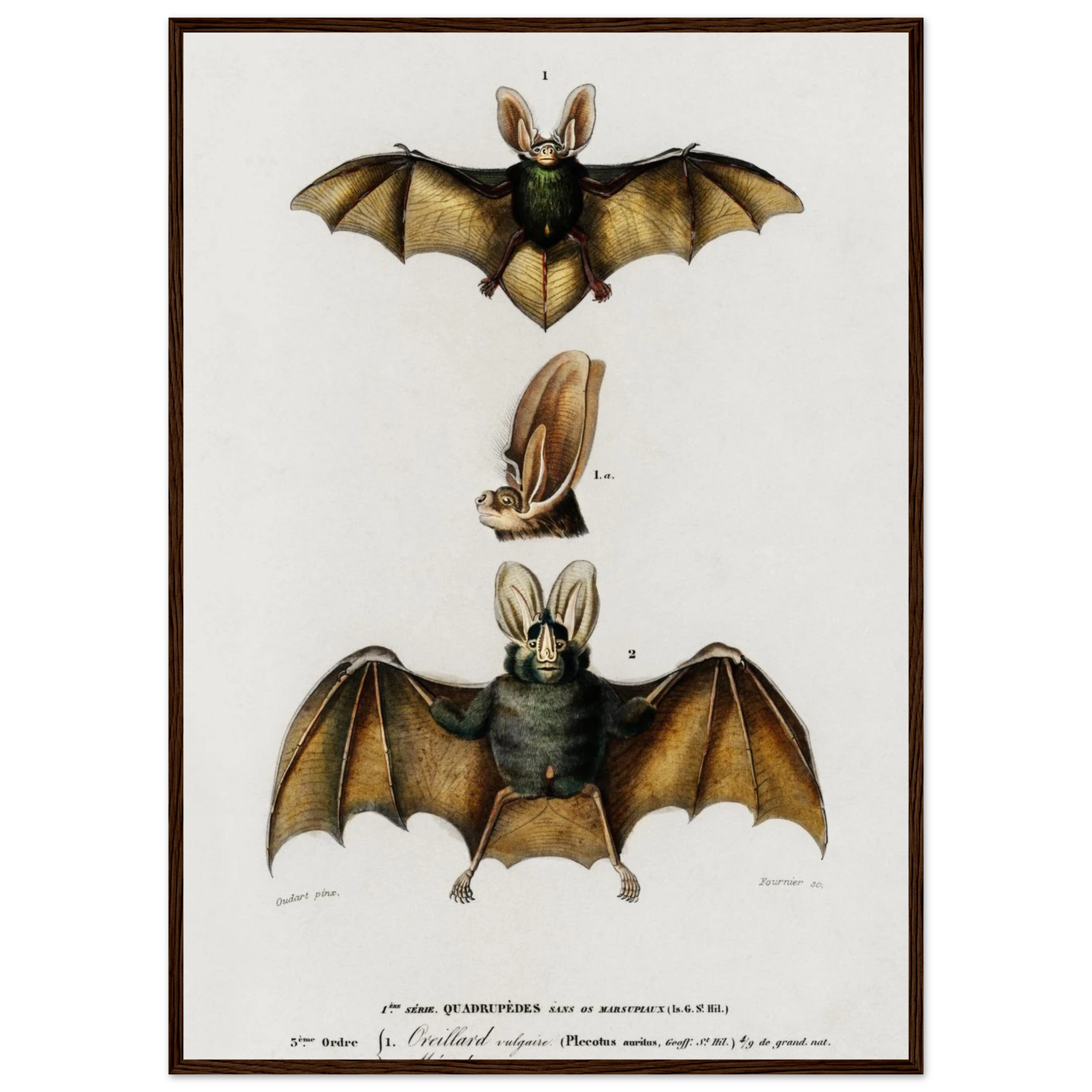 9abc97ac-7607-4439-a724-53b736312bbb