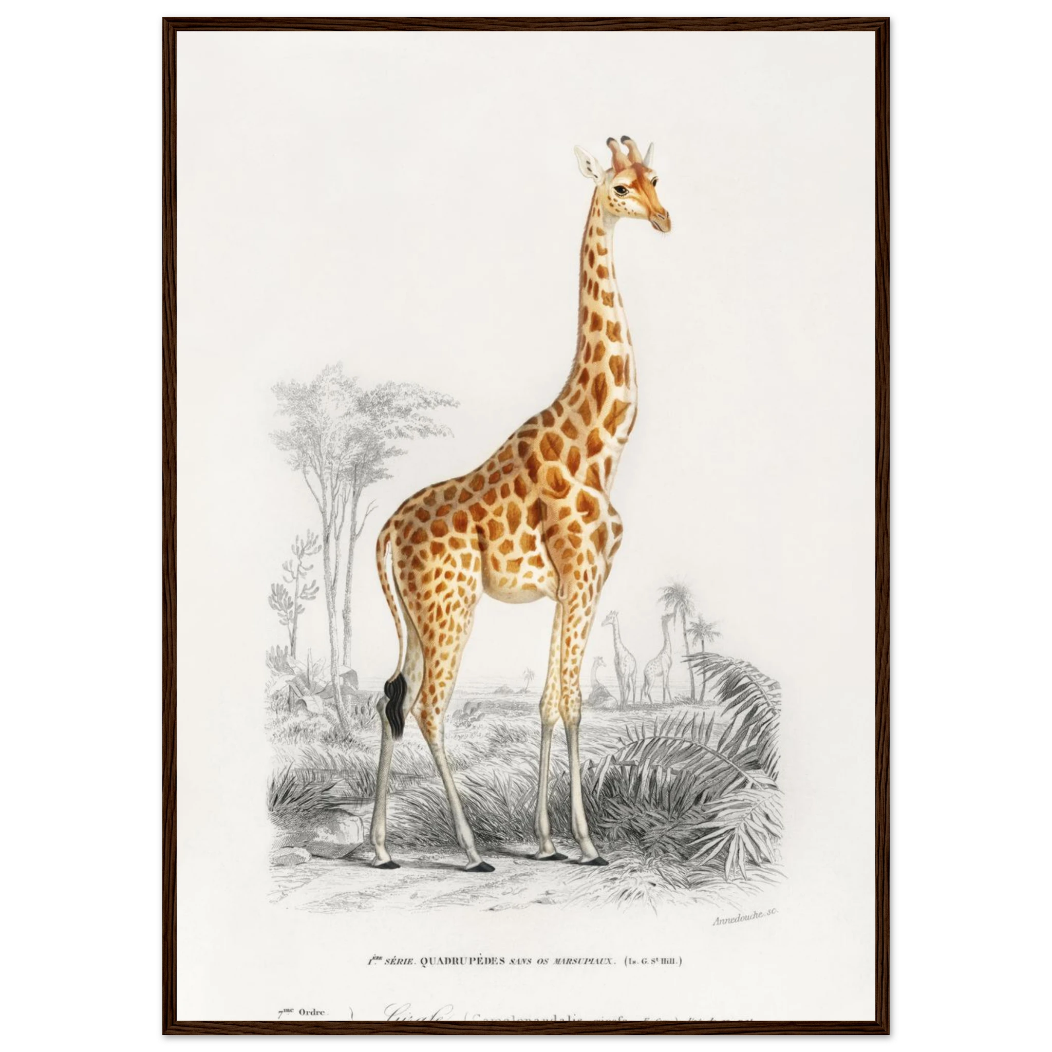 9b1a1dbc-387d-43b6-bf55-70aa2336722c