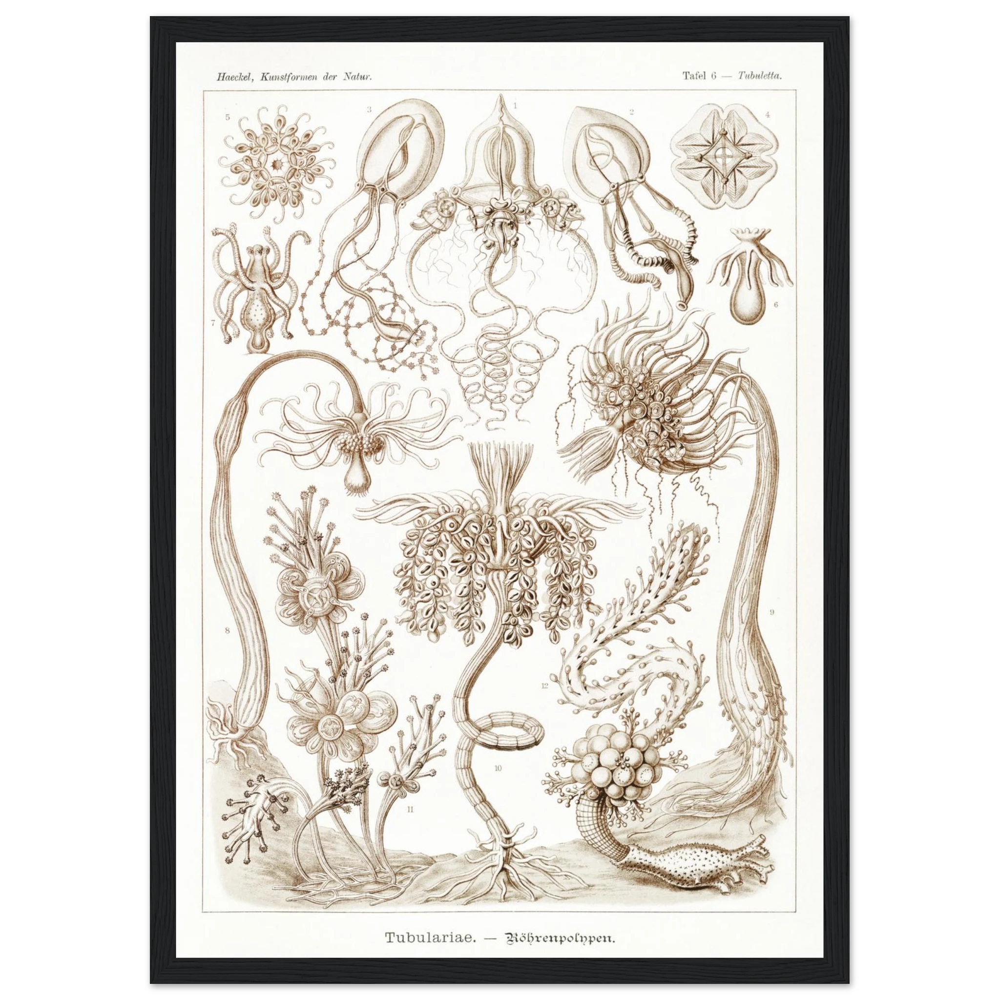 9b32dcaa-6c84-4a9c-bde9-e8d3a9192c32