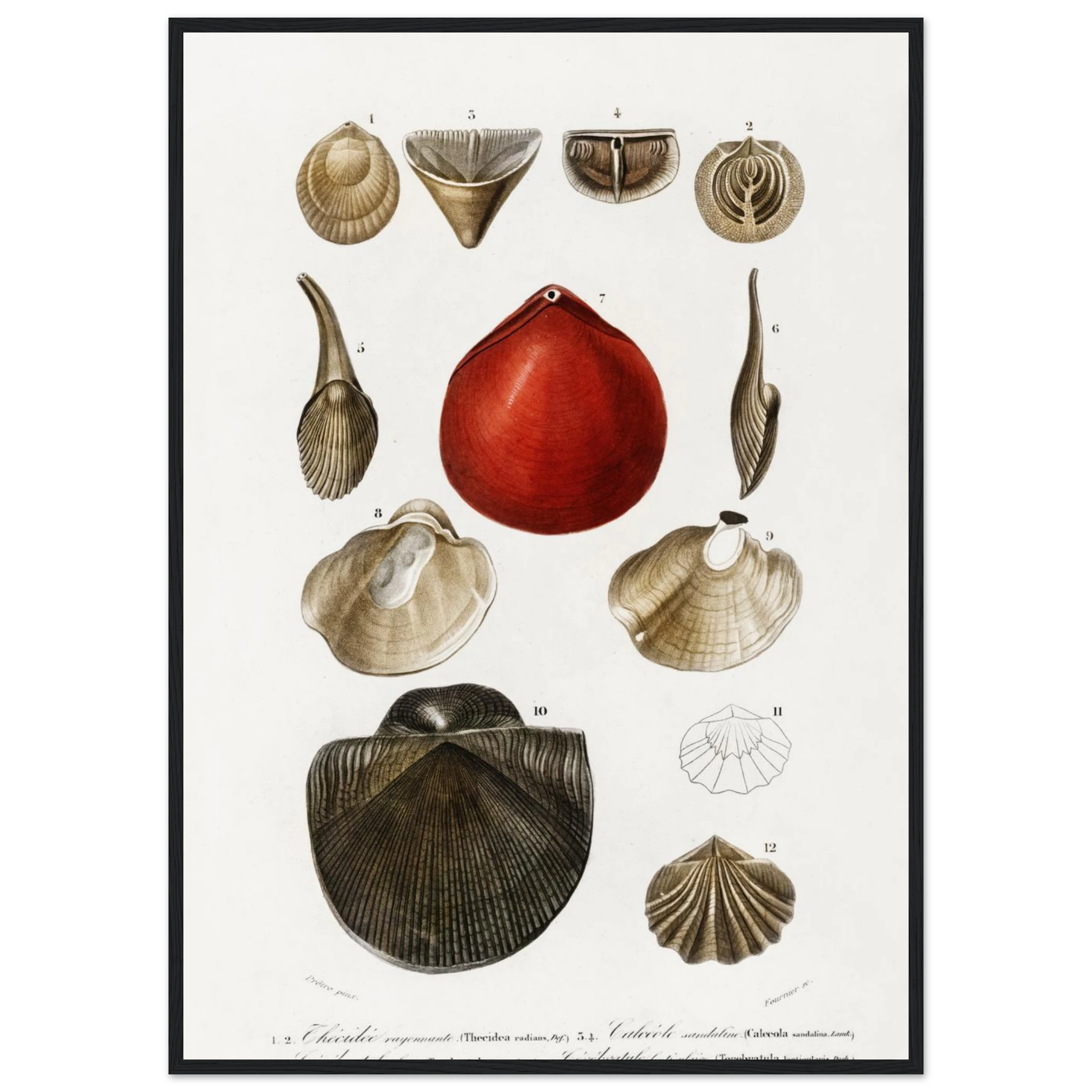 9b6dbf12-6325-4d2a-ab0e-9046ca6d61c1