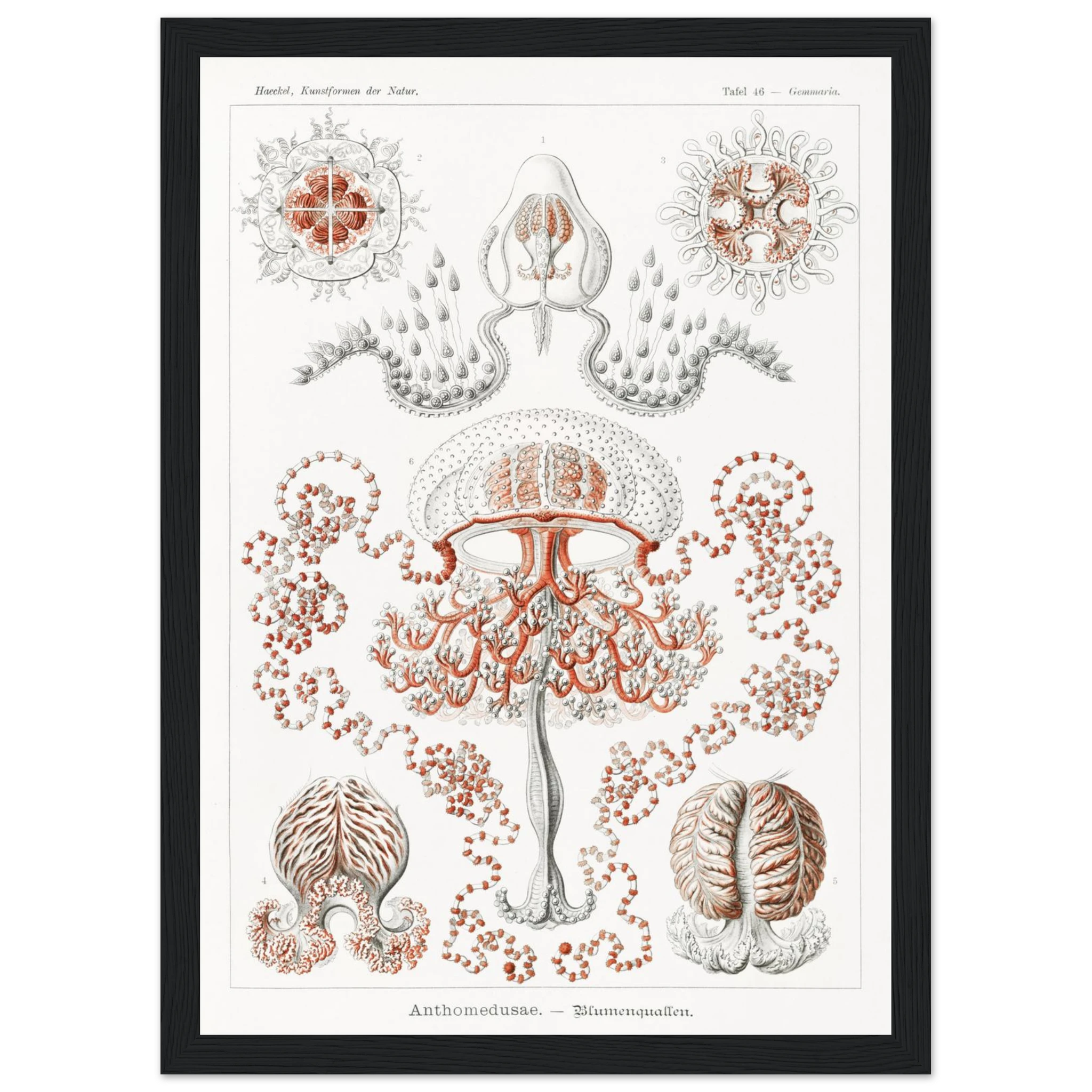 9b7d919a-4b9a-4f79-9f06-81851babd251