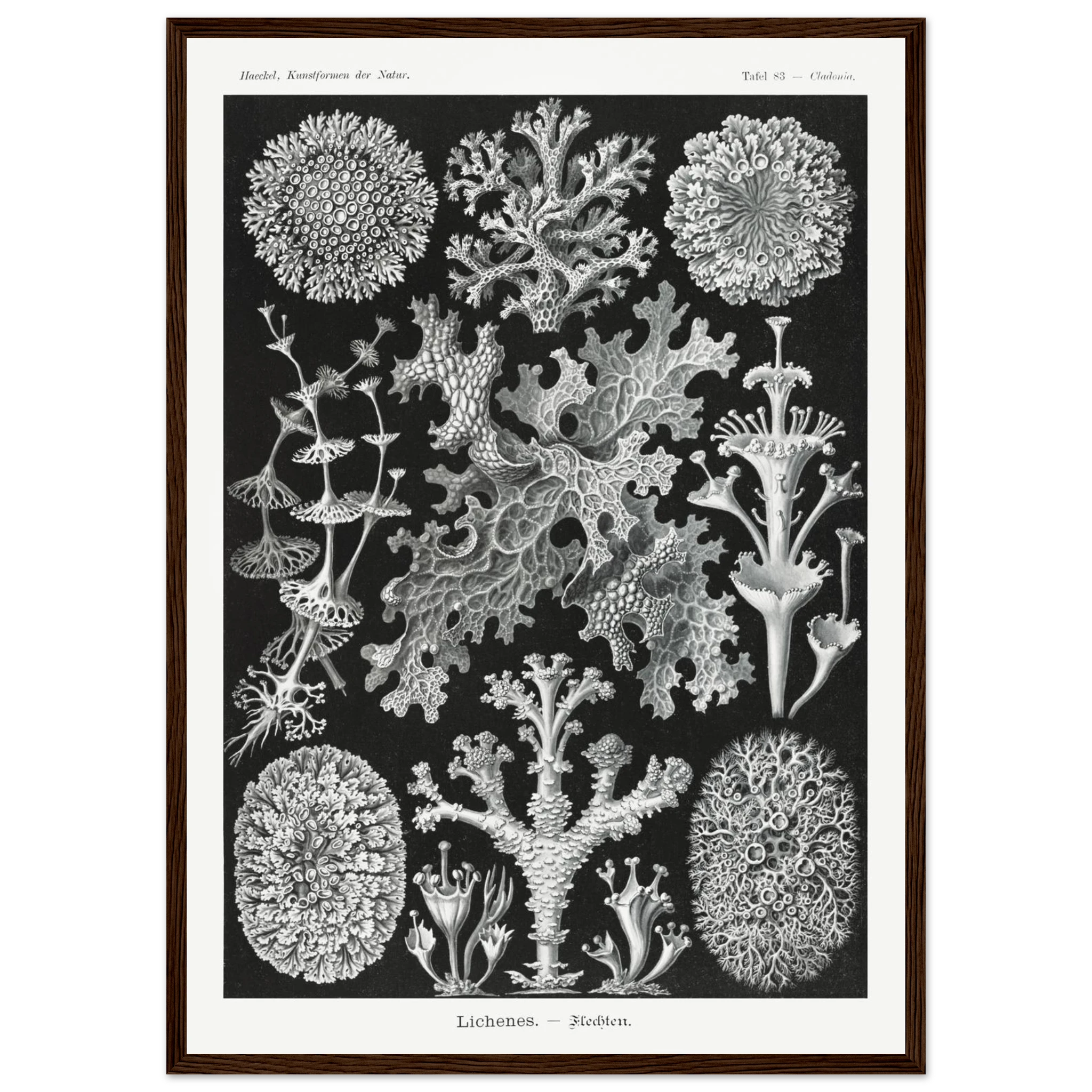 9b90547f-ed79-40b1-b7c0-f500abaabe42