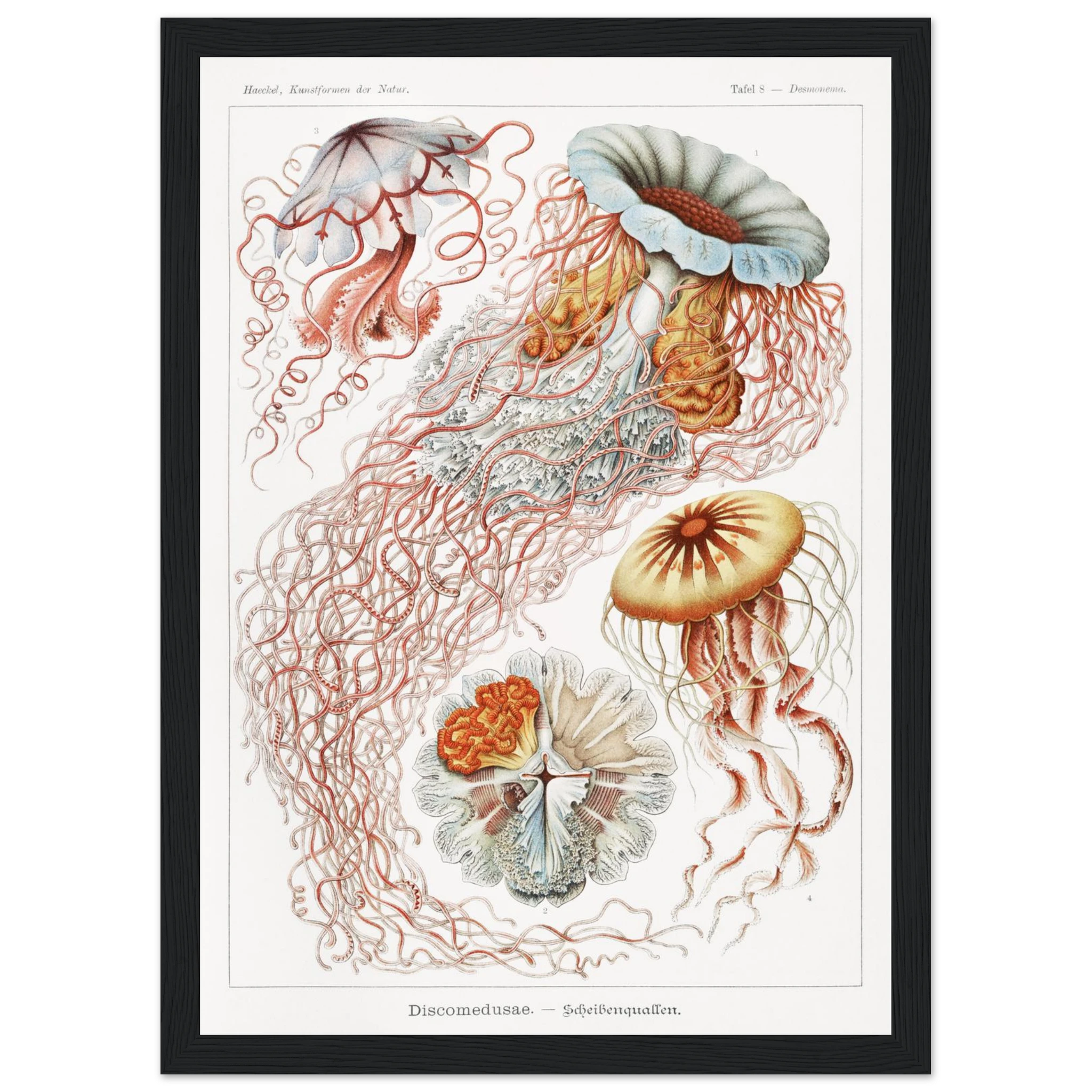 9be40e5f-257d-4ef3-80db-4576673fe283