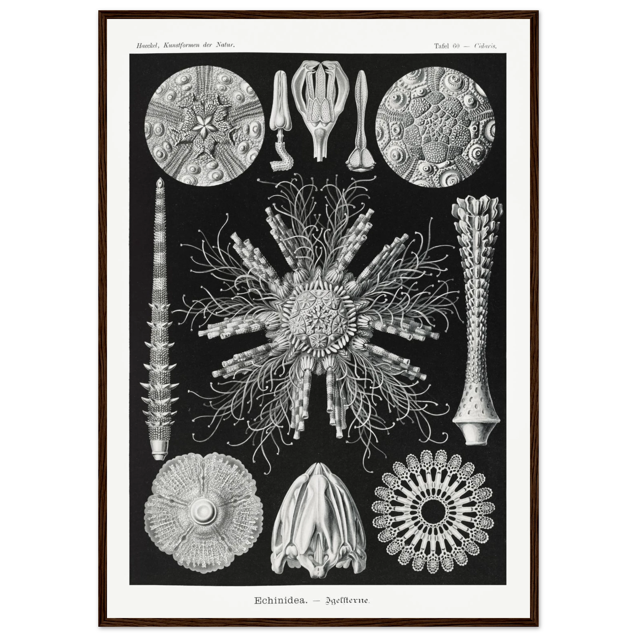 9beaab83-6f1e-40a7-aae3-fe764fccdf2a