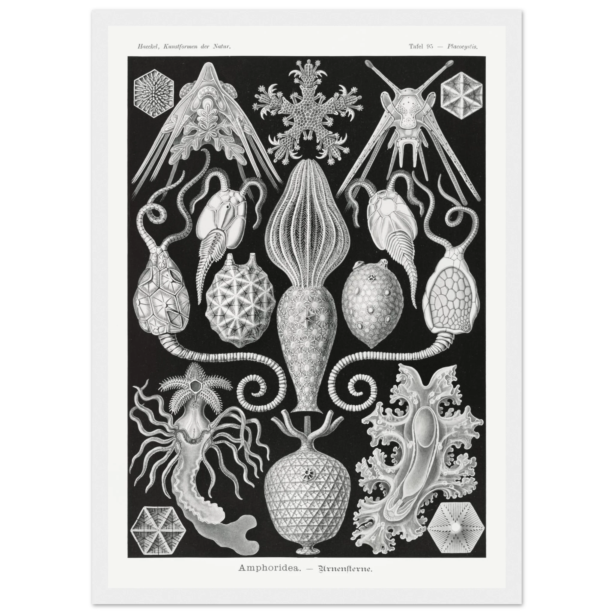 9c1a9f15-1ad4-4c13-bb97-29027913449b