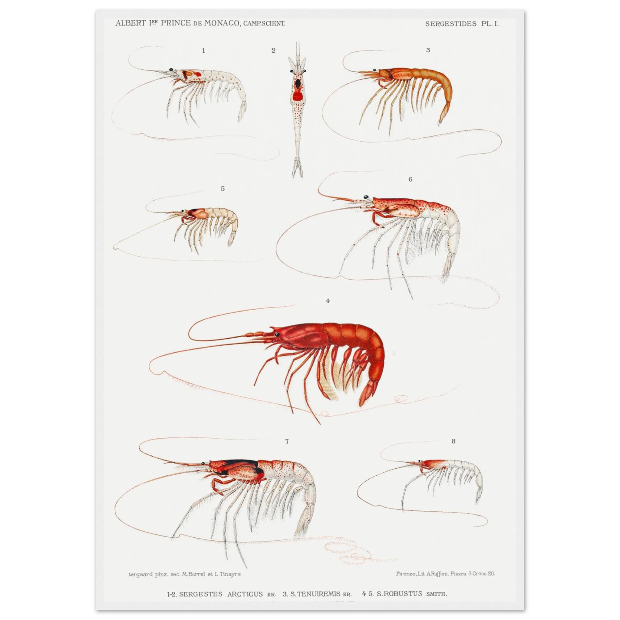 9c2d444b-2491-49d2-b8a4-e81174aba75d