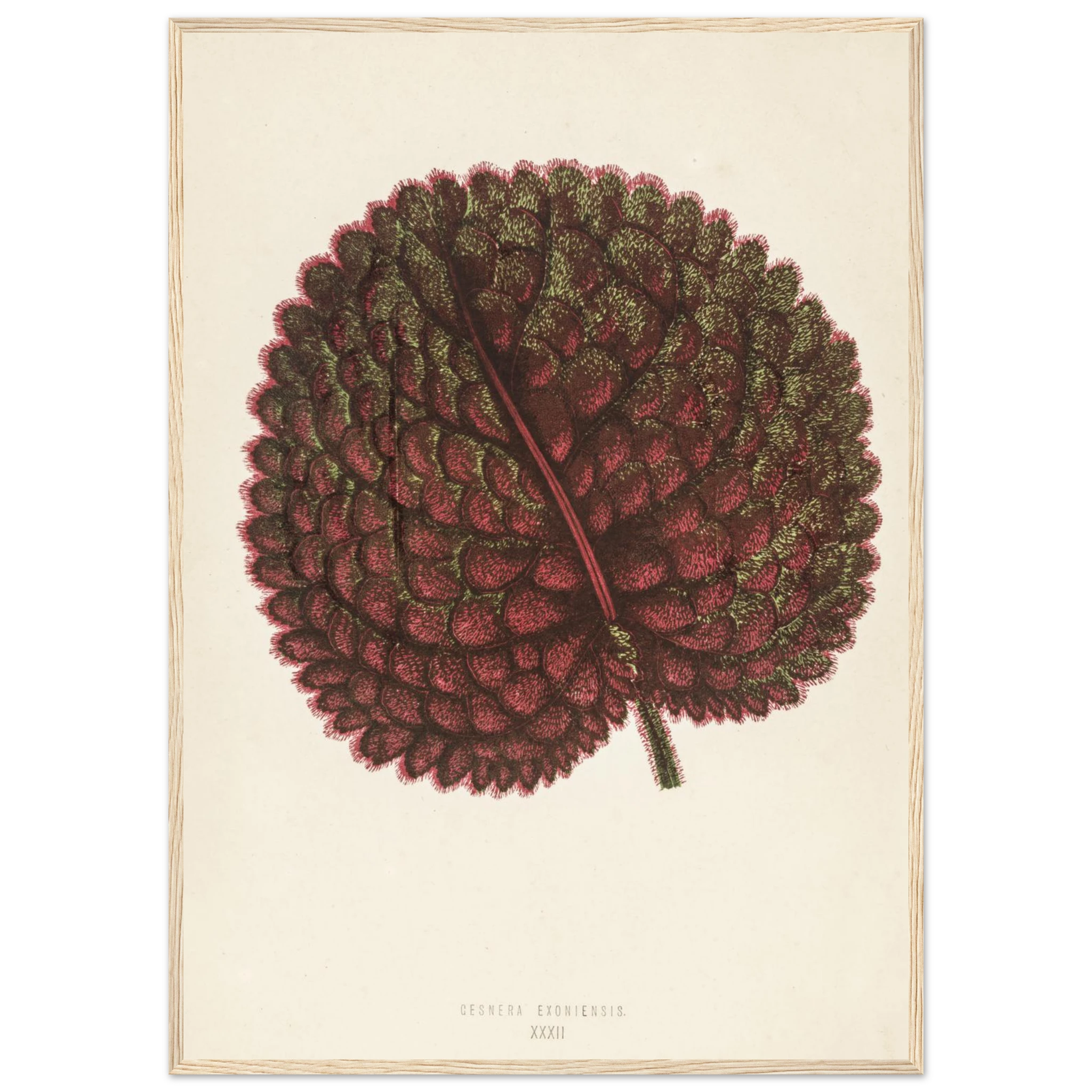 9c5a54b8-dc3b-4cb0-98c0-4f69d307d633