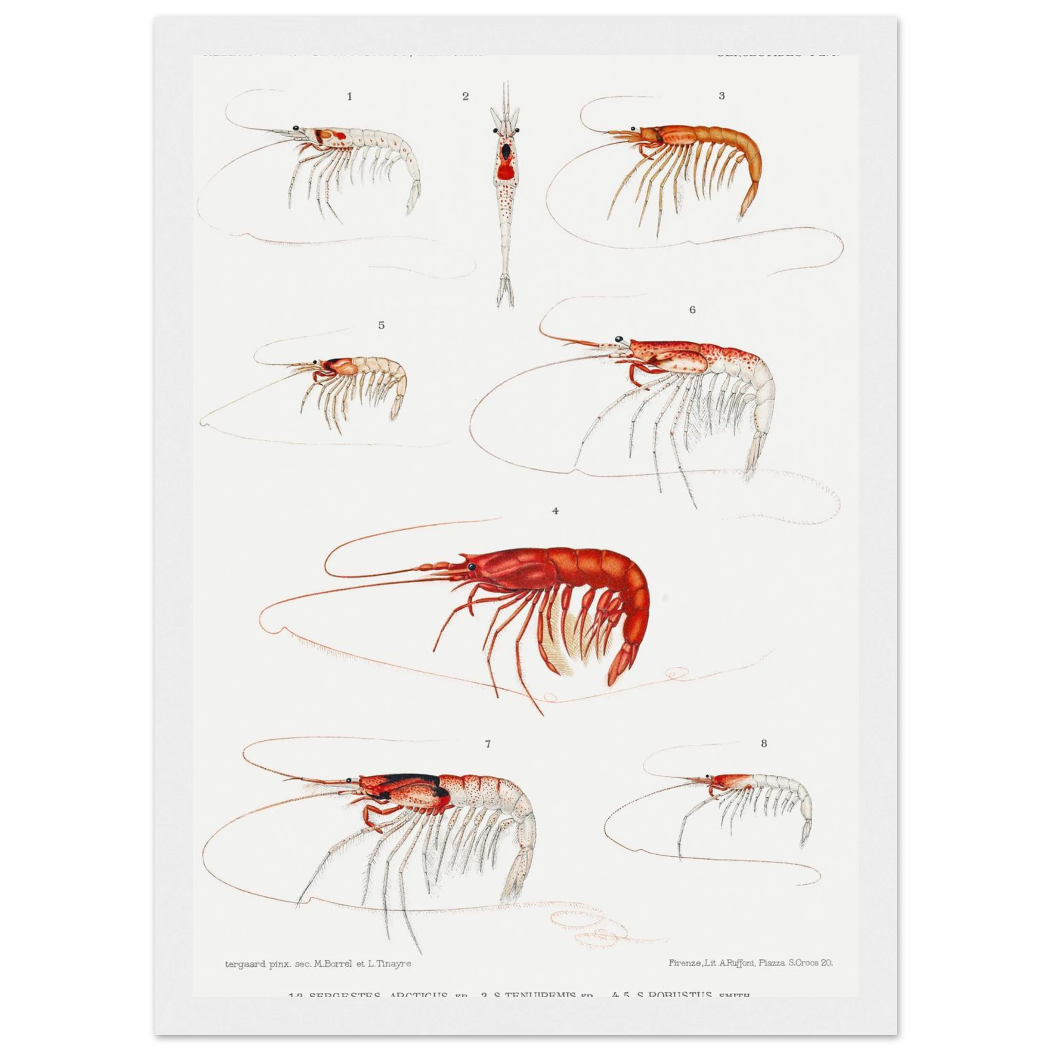 9c65168c-5cf0-4d65-b1c2-4b6b59c22bf2