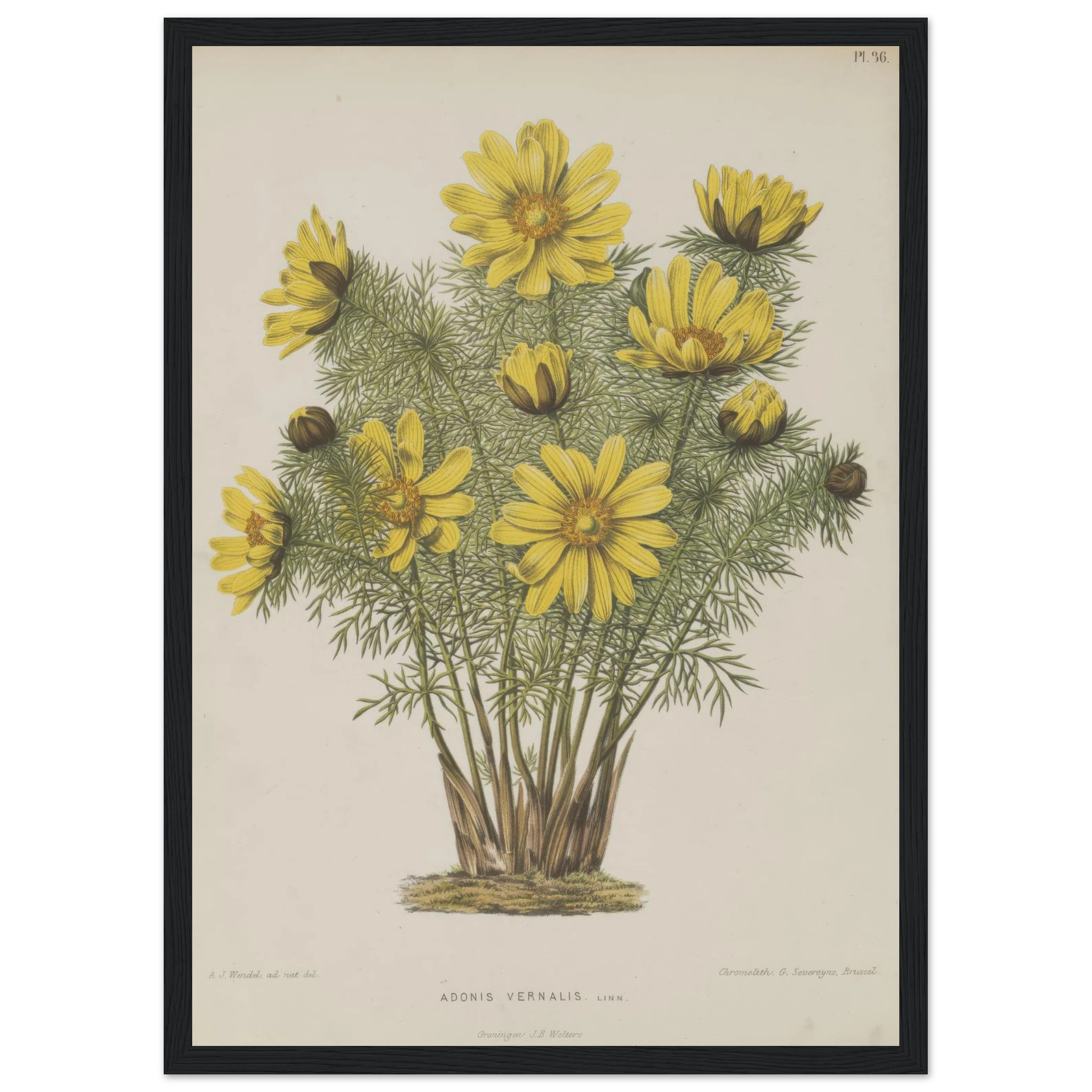 9c8c6690-9005-496e-b6da-10cc35c1dfe8