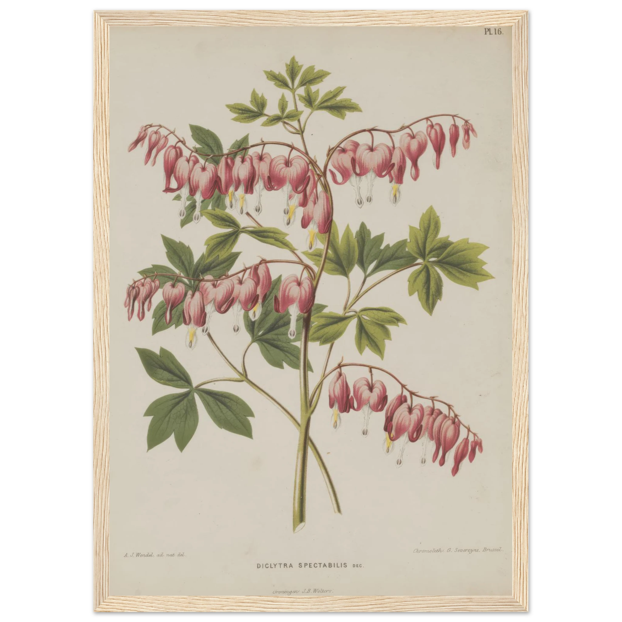 9cc7fa22-9389-4991-a1ba-cc11bee0e798